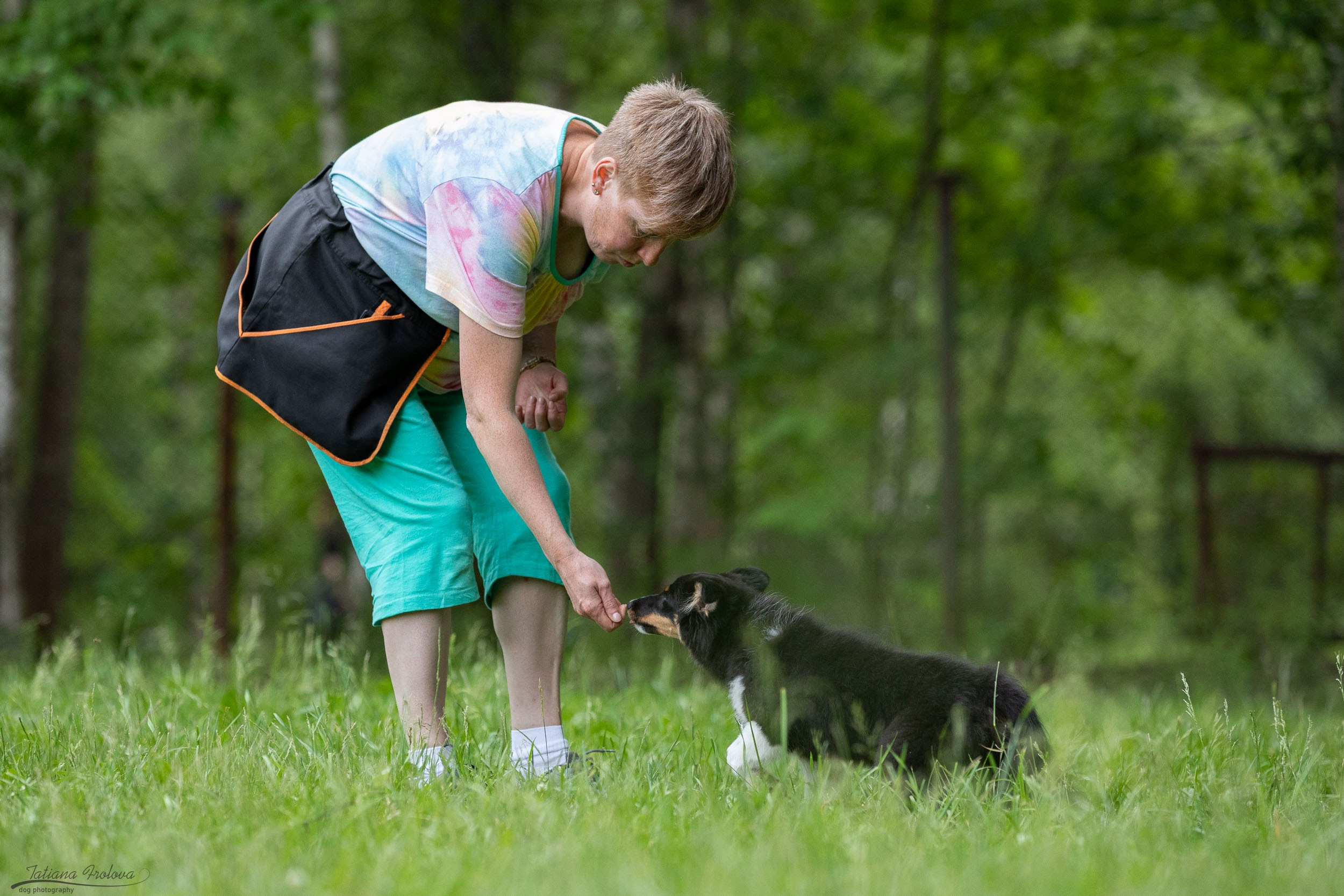 Репортаж с выводки молодняка колли/шелти в Ясенево. Фотограф-анималист в Москве и Московской области Татьяна Фролова