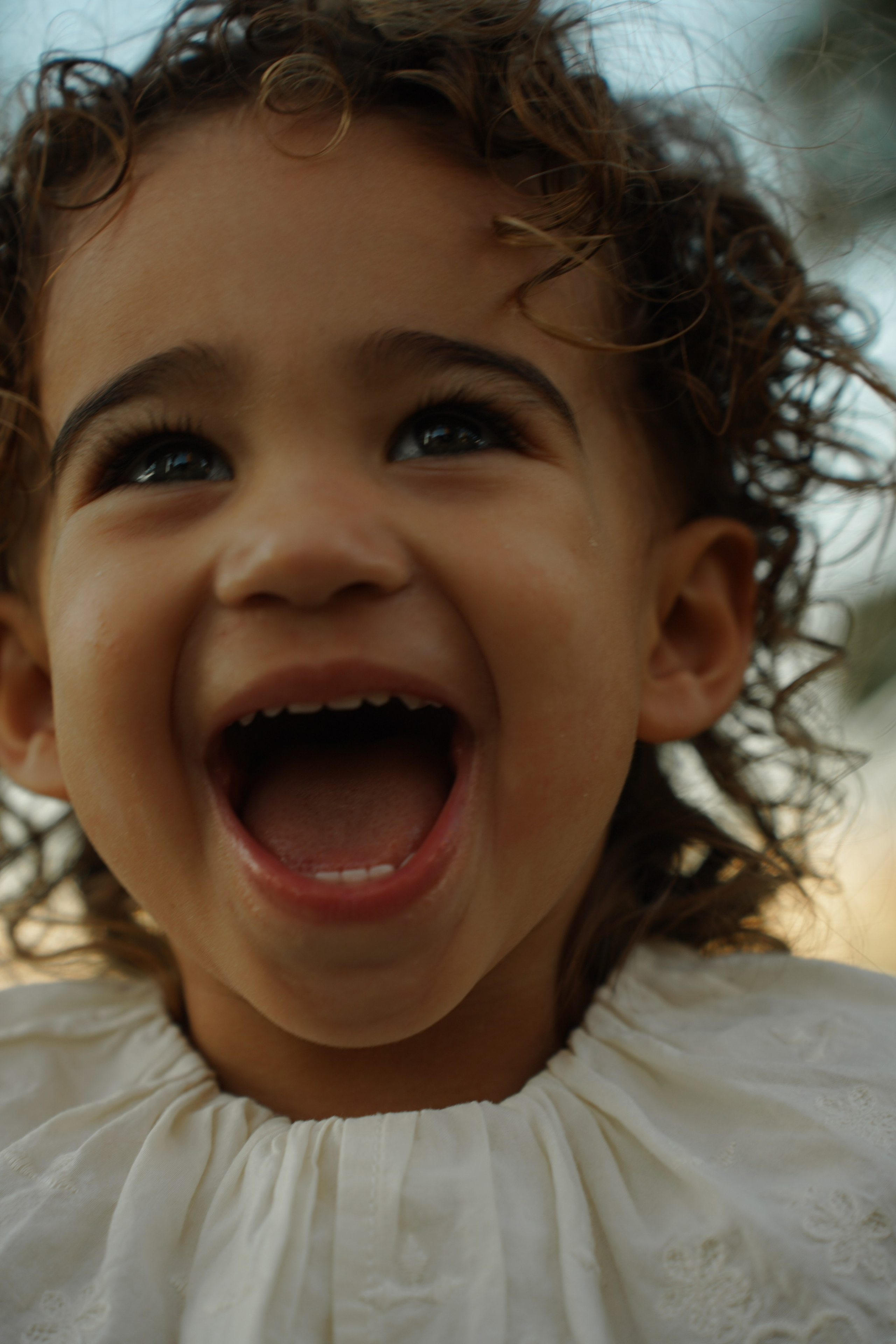 Alex & Phill. İrandek. Fotoğrafçı. İzmir