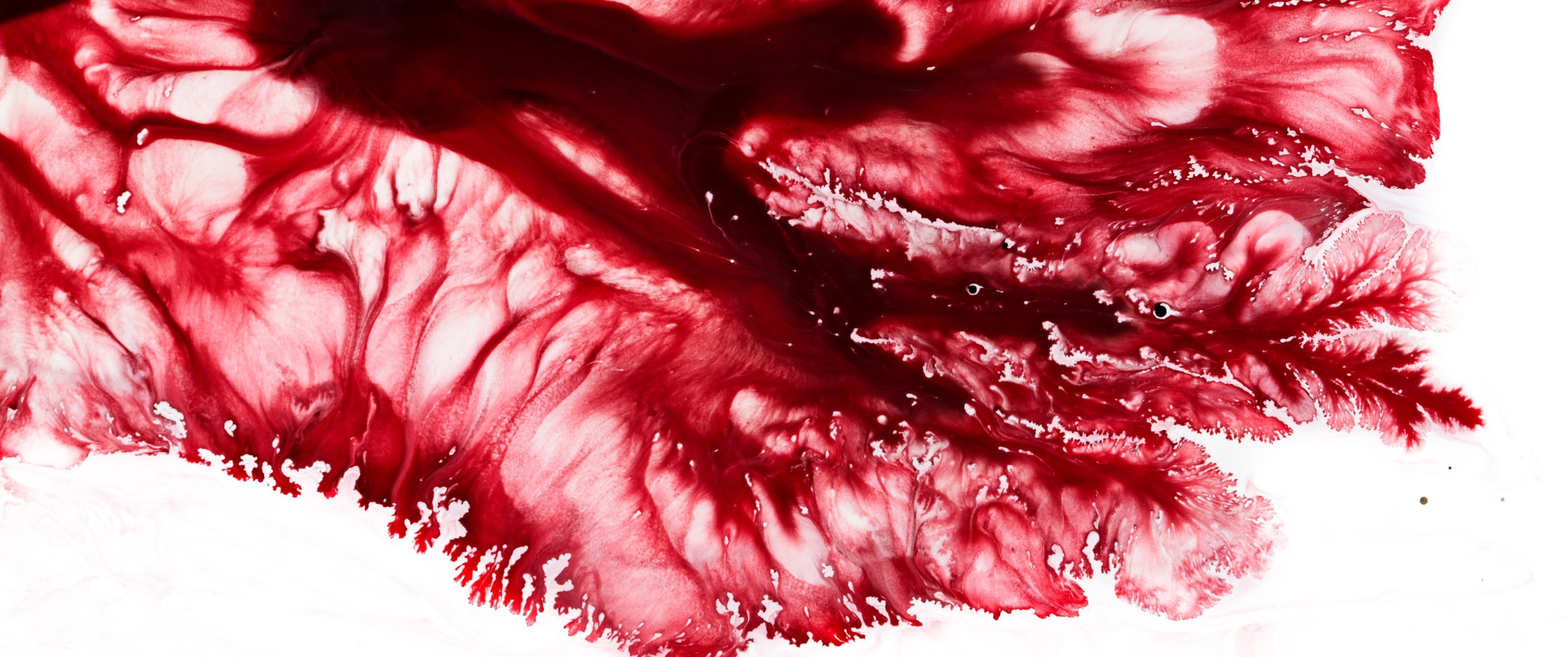 Genesis. Short films by Vadim Sherbakov