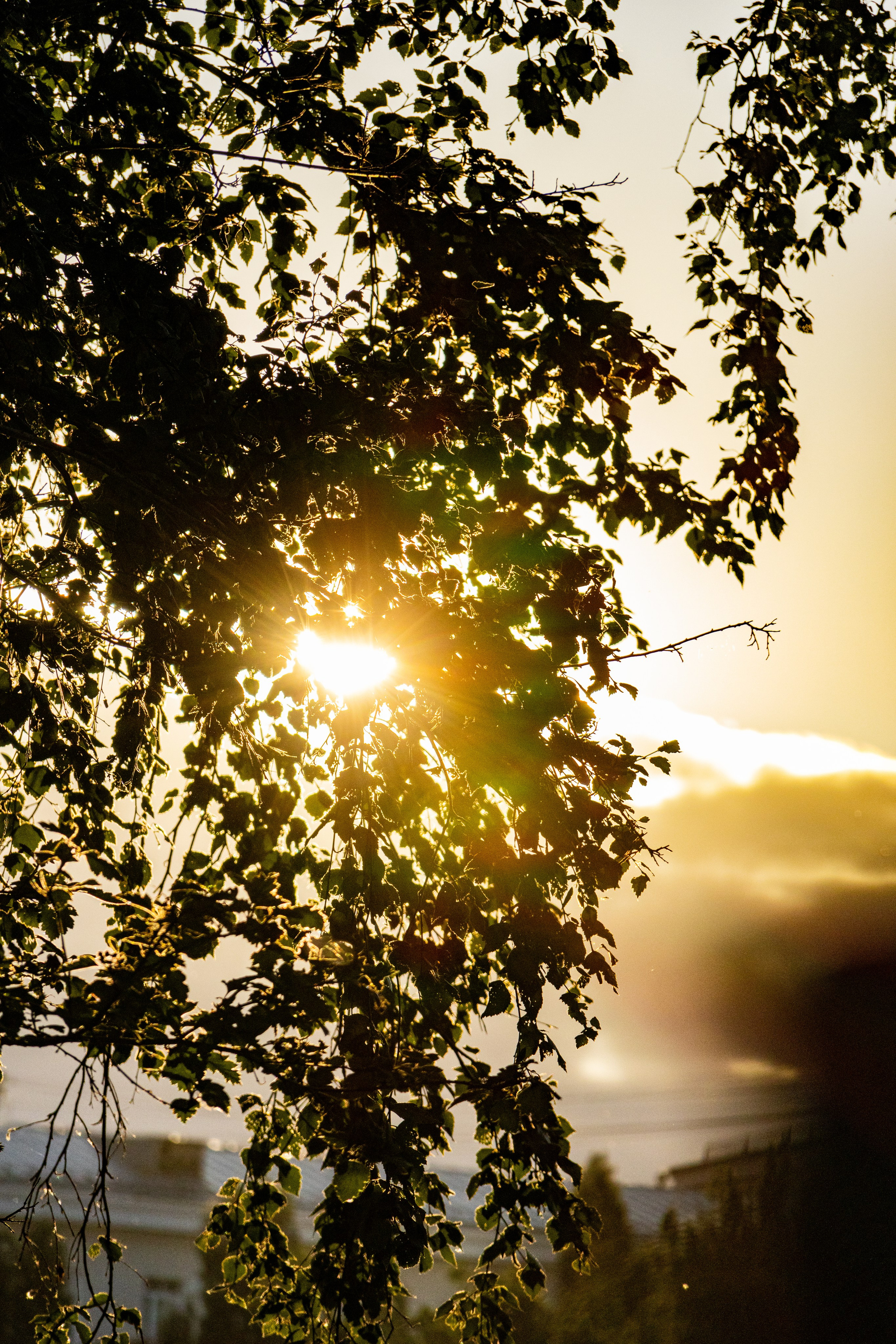 Екатеринбург. Jean De Vivre Gallery