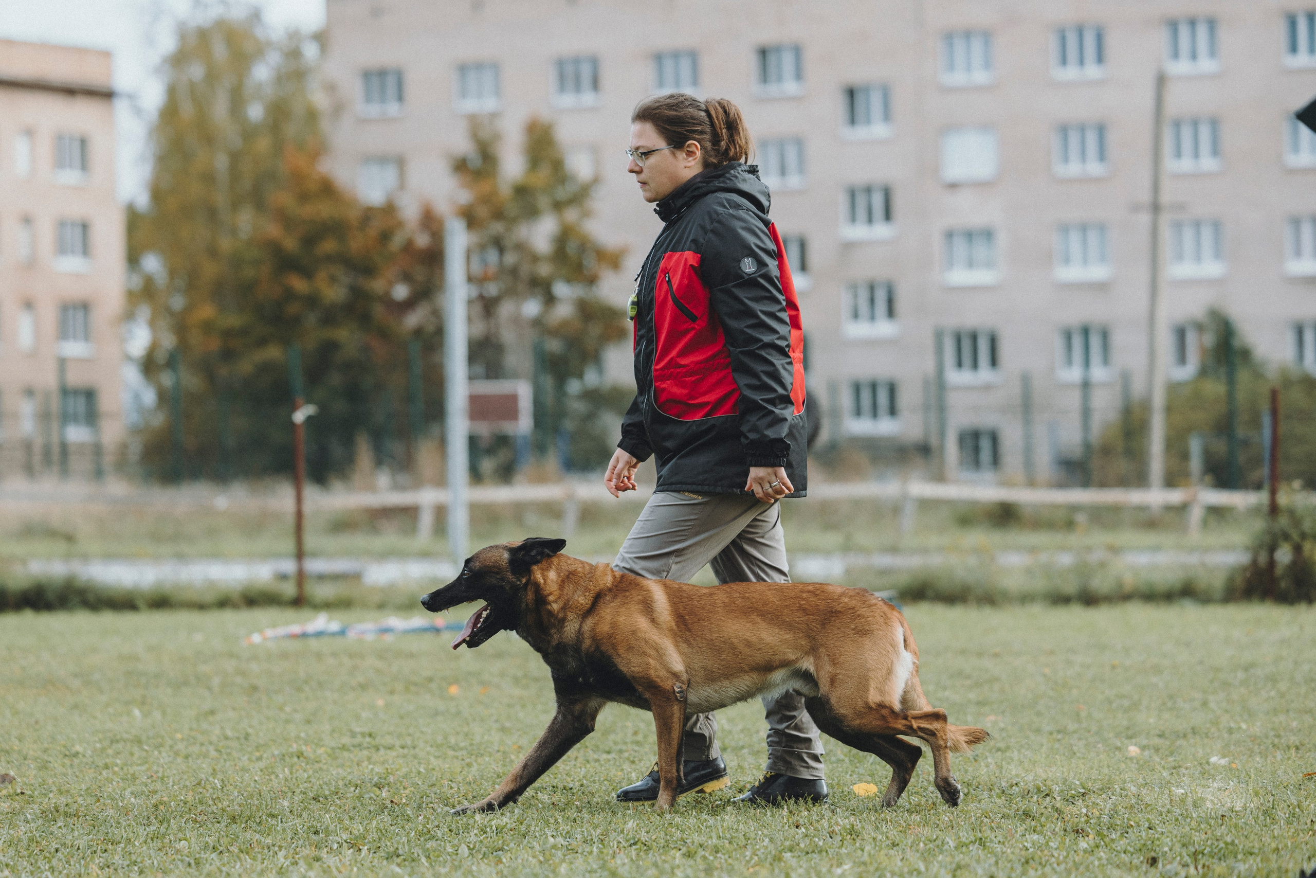 Испытания по мондьорингу г. Пушкин 29.09.2024. Фотограф-анималист Анна Маринич