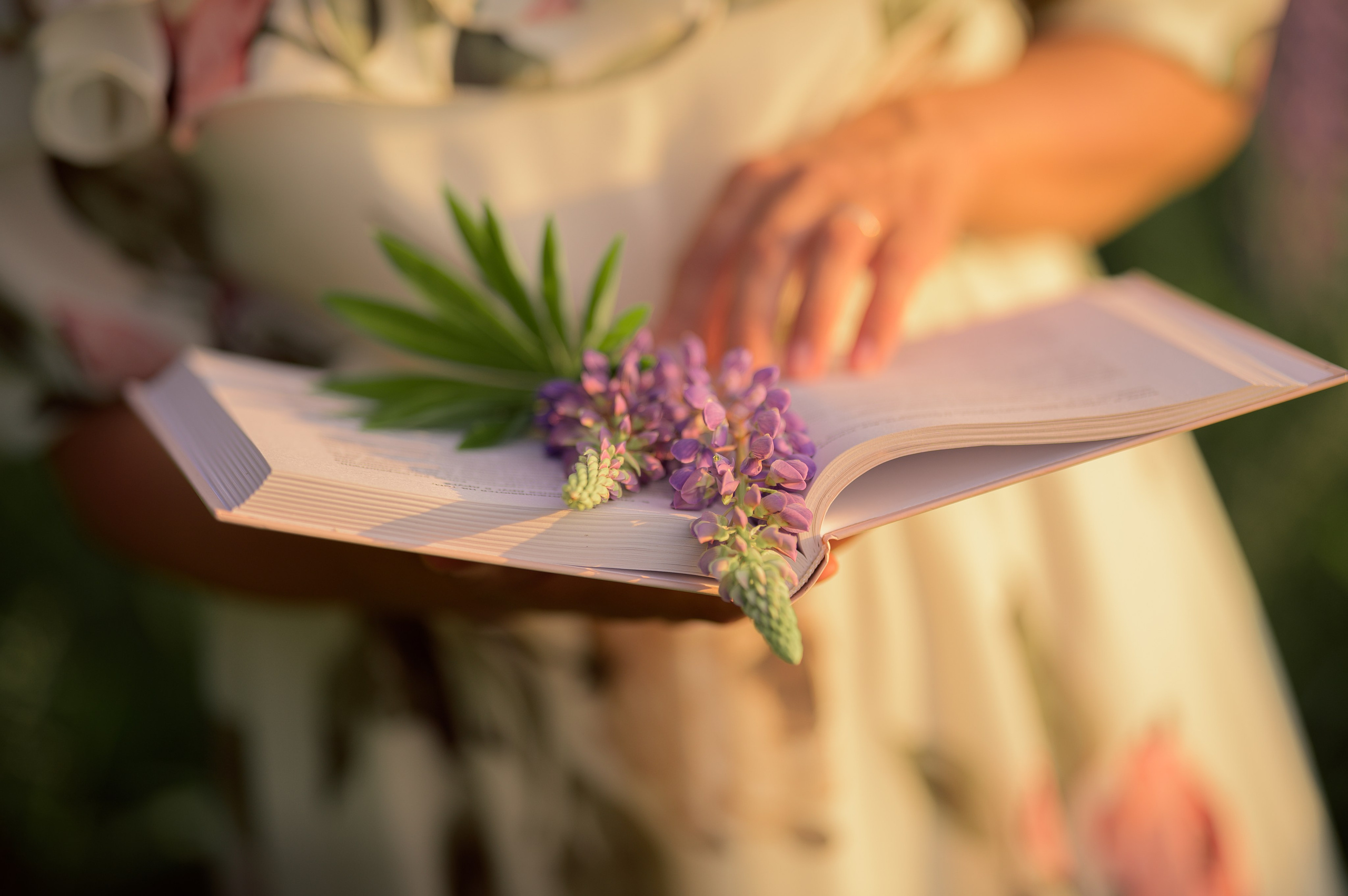 Анна. Семейный и детский фотограф в Шатках и Арзамасе Александра Магомедова