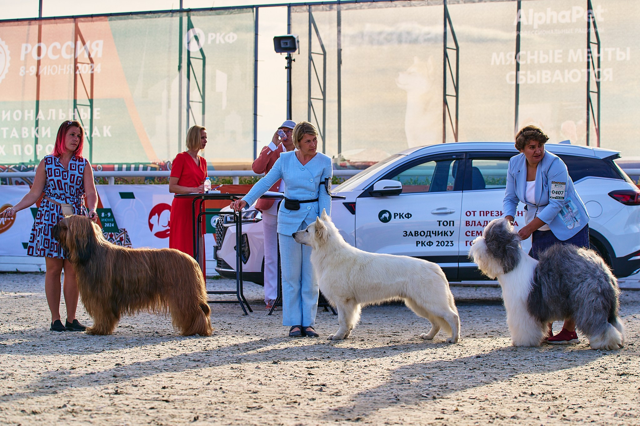 08.06.2024 «РОССИЯ. КУБОК РКФ 2024»