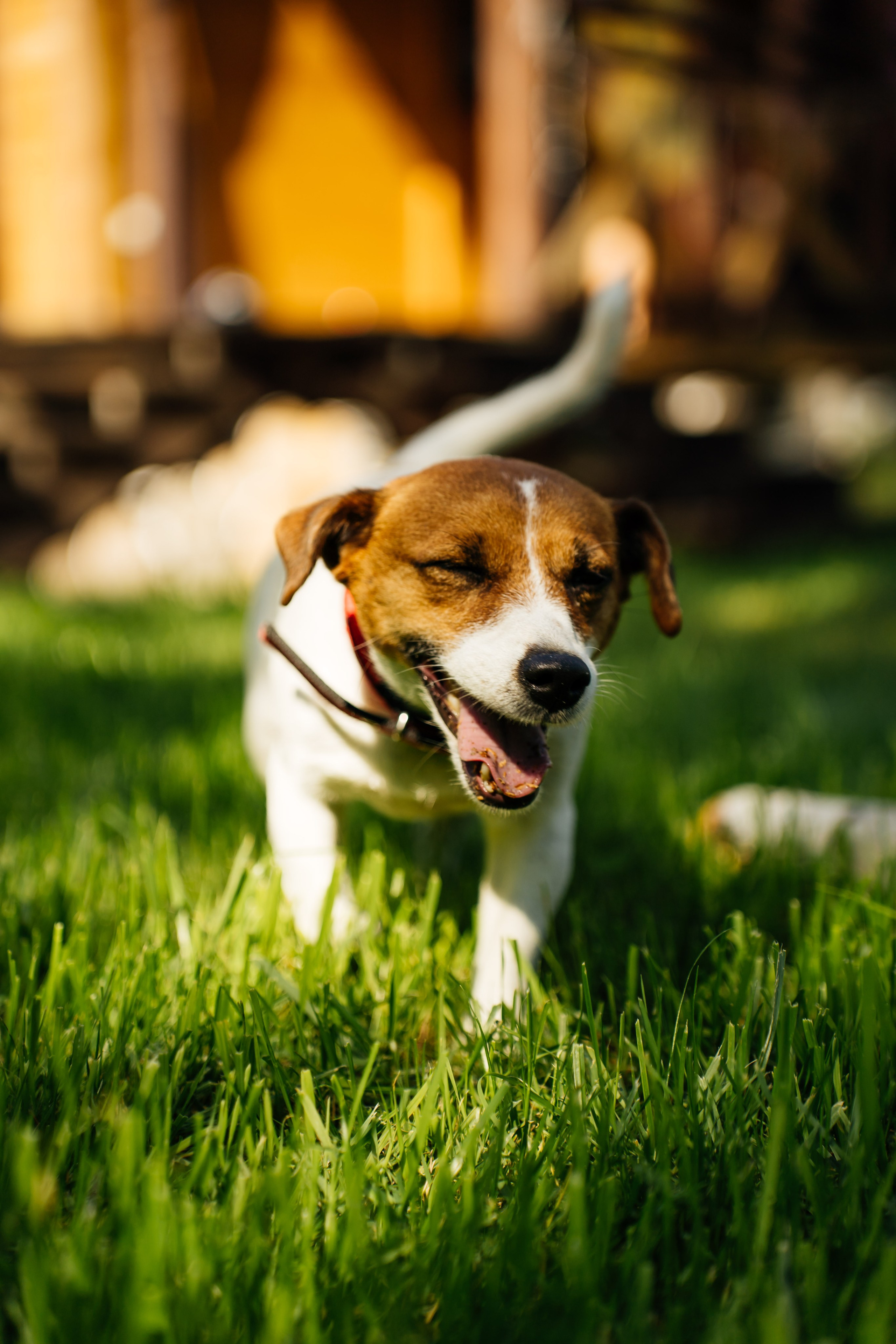 Weekend with friends. Видеограф и Фотограф в Челябинске Ксения и Владимир Рюмины