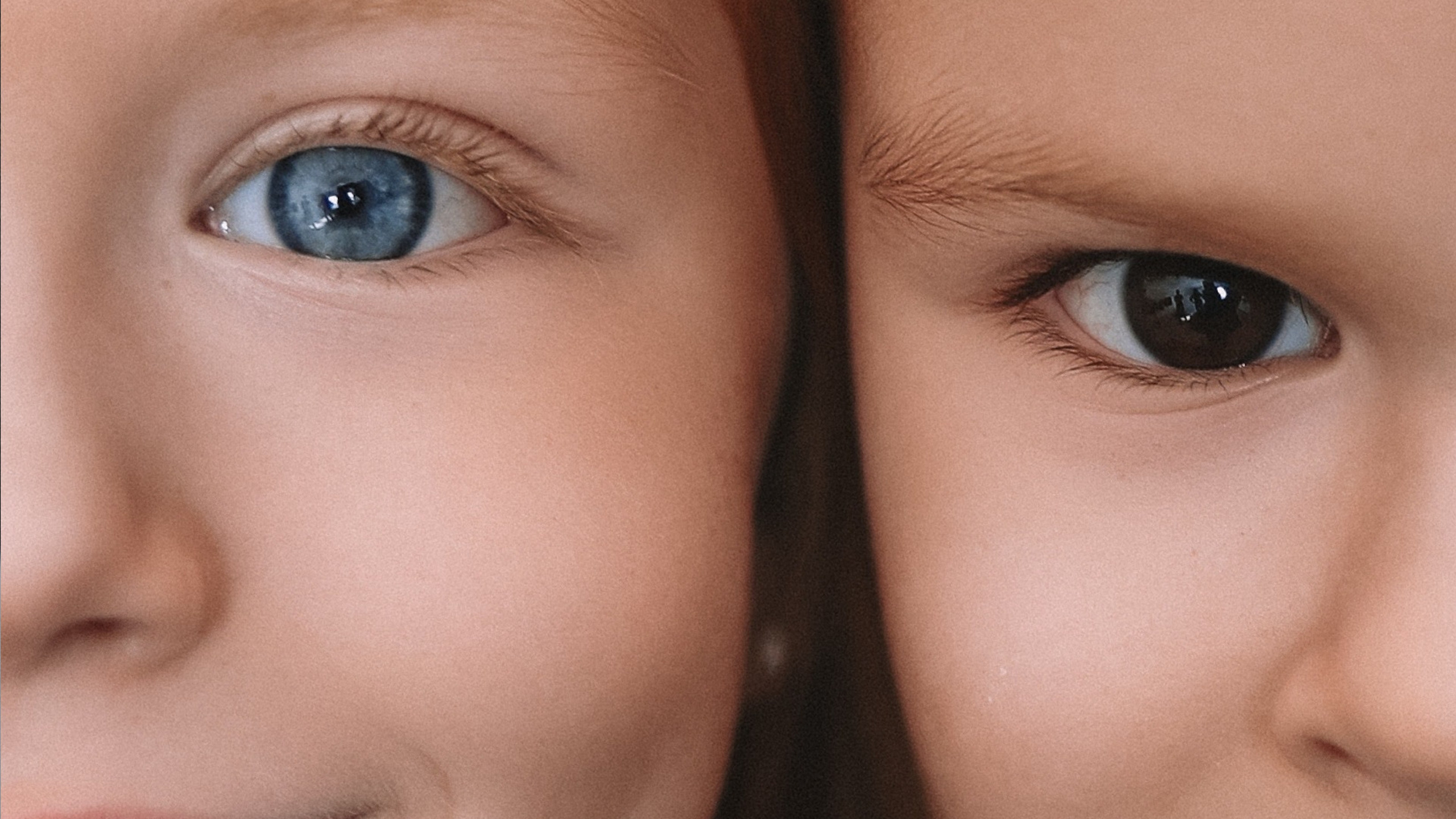 Подарочный сертификат на фотосессию — Олеся Беляева. Фотограф Олеся Беляева | Санкт-Петербург и Ленобласть