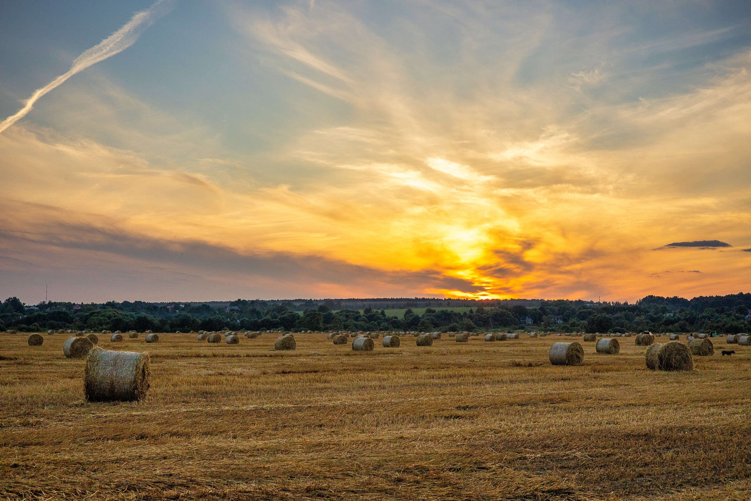 Катя. Игорь Забытин — Фотограф в Москве