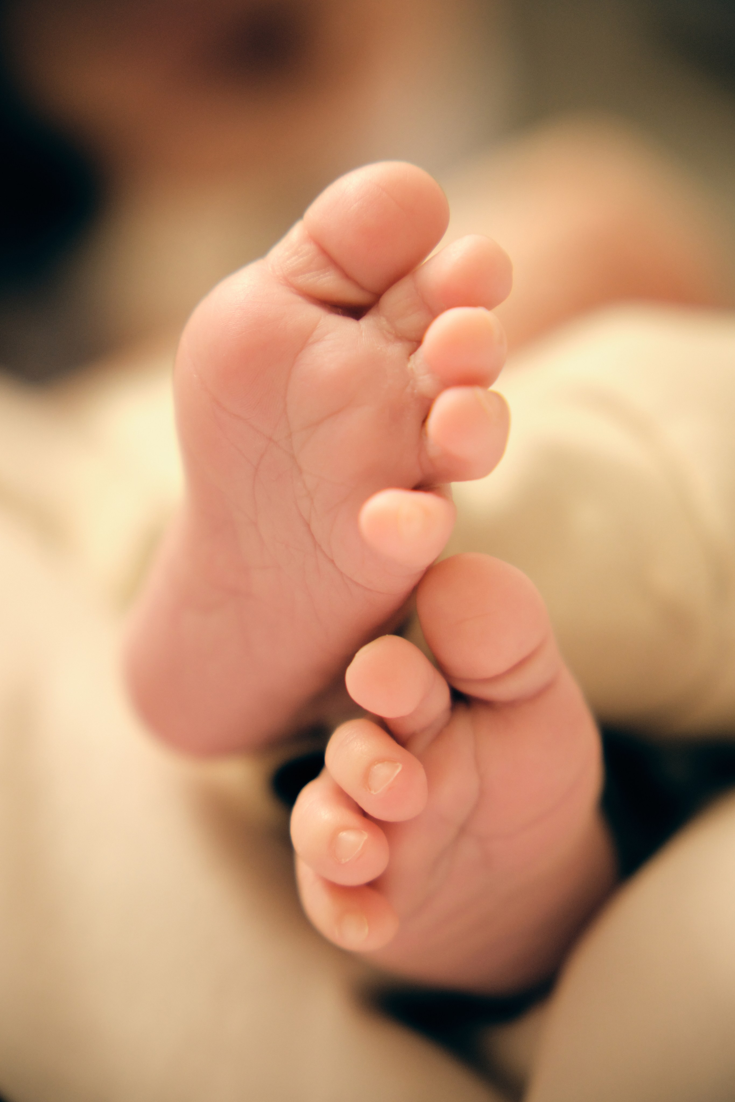 Фотосессия с новорожденными альбом. Фотограф в Москве — Галунина Кристина