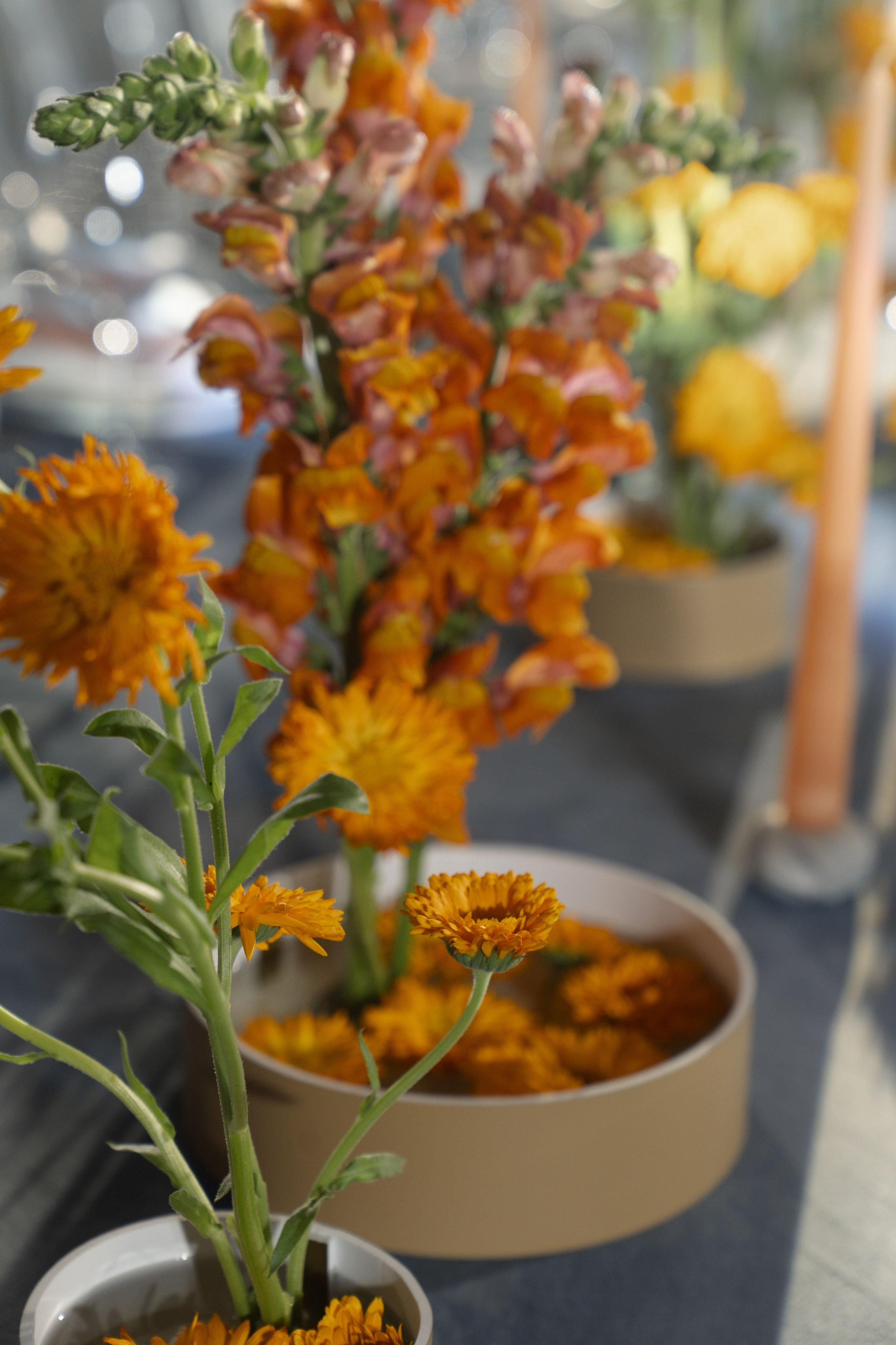 Оранжево-голубое слияние. VENSKAYA WEDDING & EVENT PLANNER