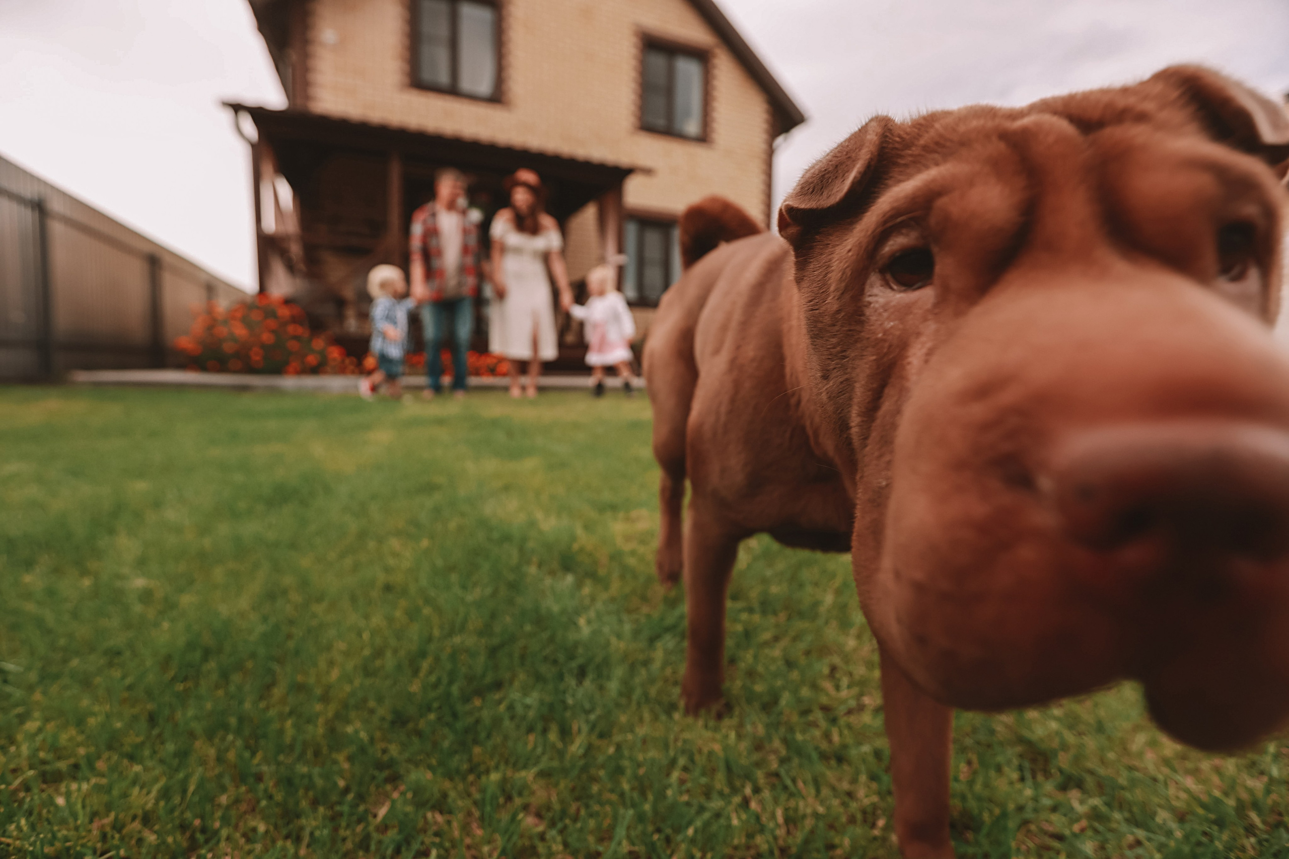 У дома. Семейный фотограф Тюмень, фотограф на роды Салмина Мария