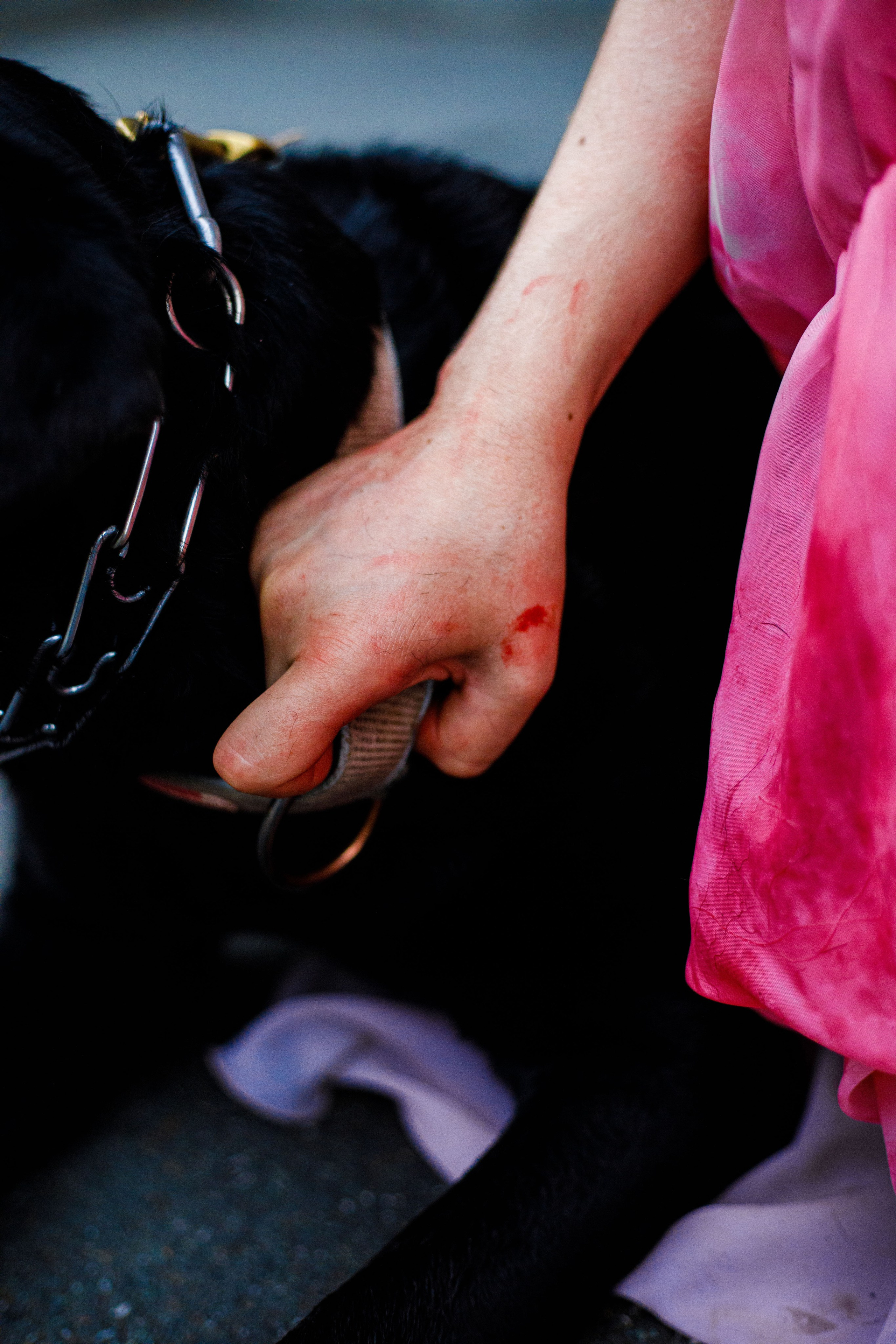 Кровавая невеста. Фотограф Екатерина Козловская