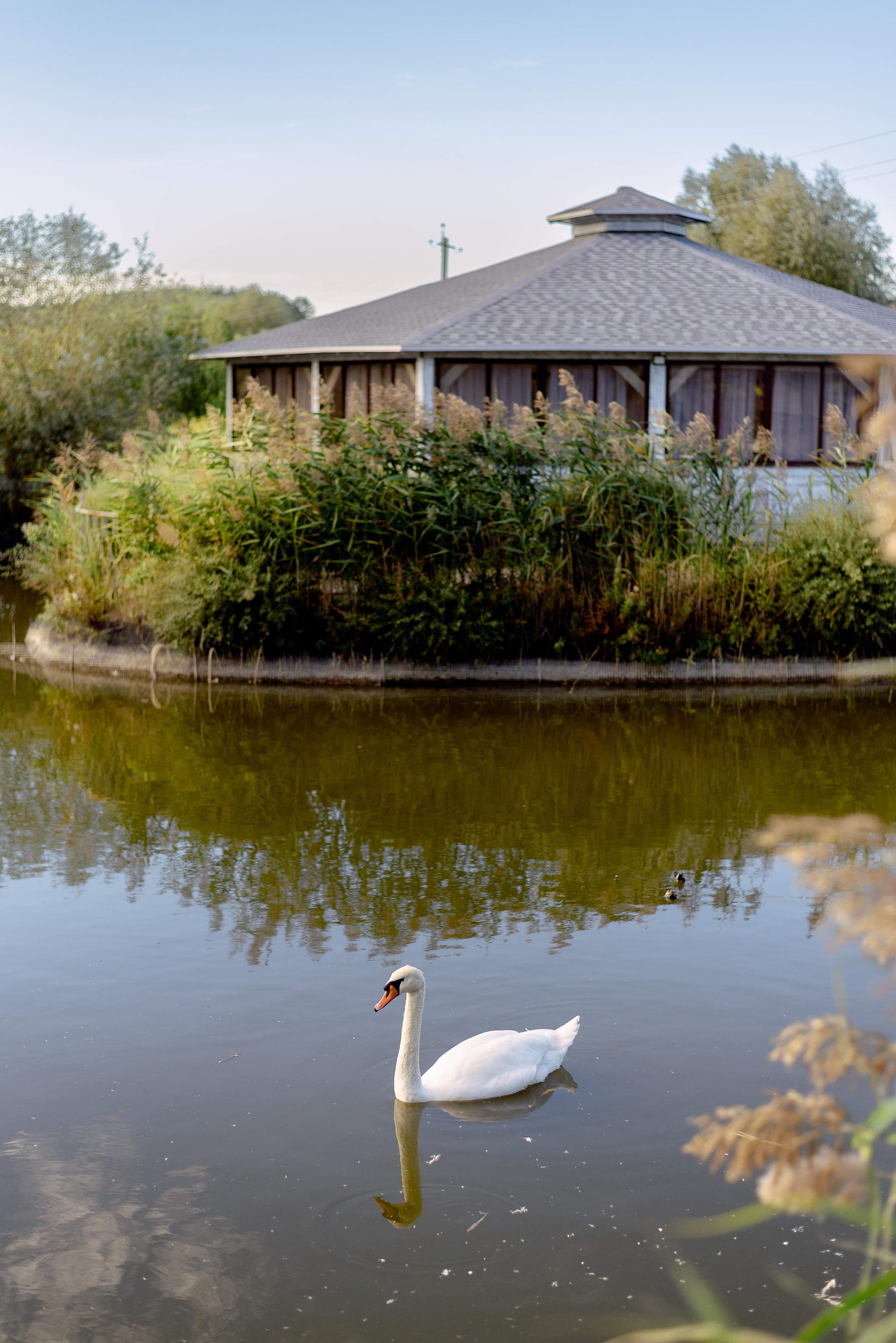 Александр и Ольга. Свадебный фотограф в Белгороде Косилов Денис