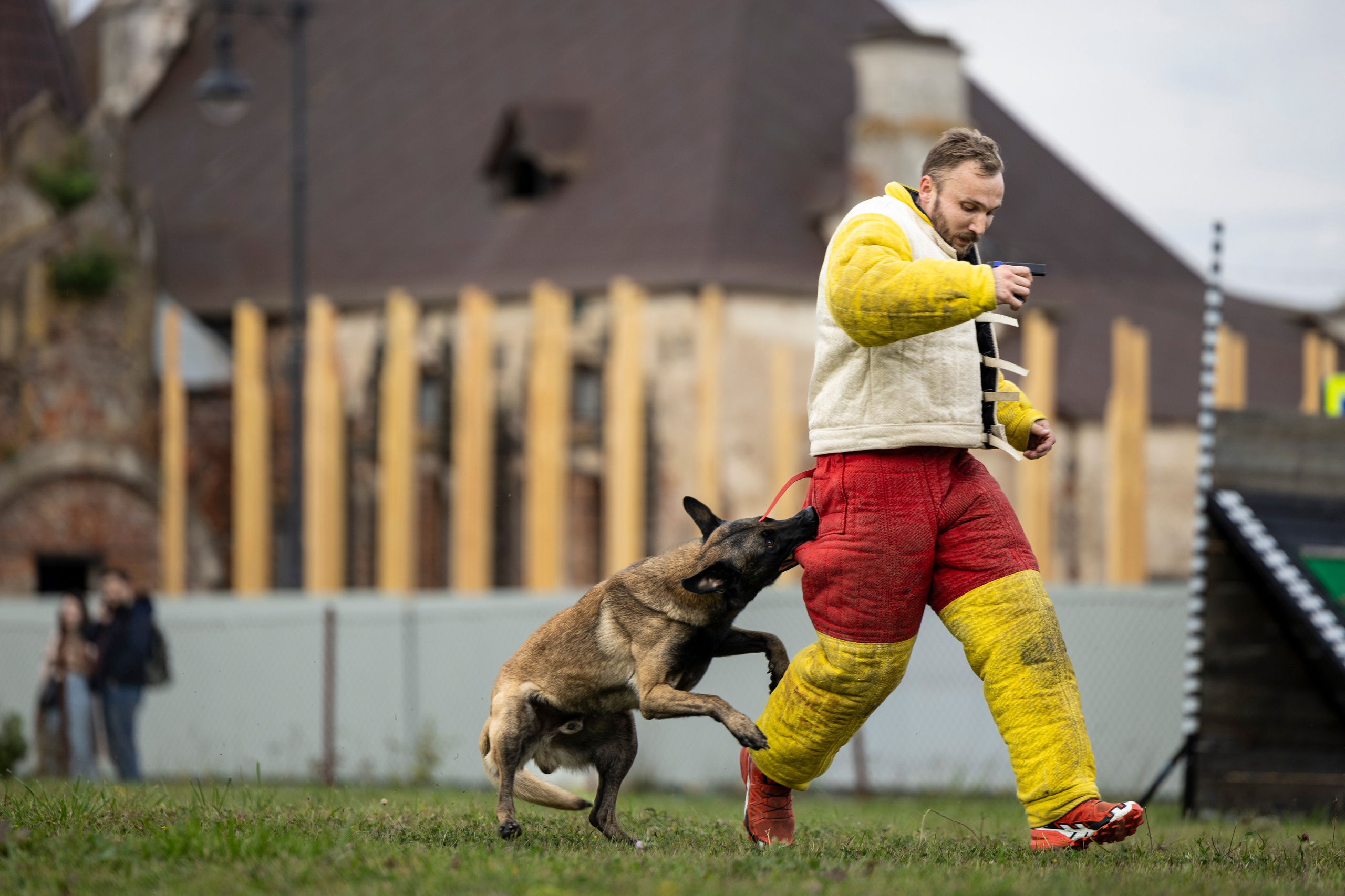 Испытания по Мондьорингу г. Пушкин. Фотограф-анималист Анна Маринич