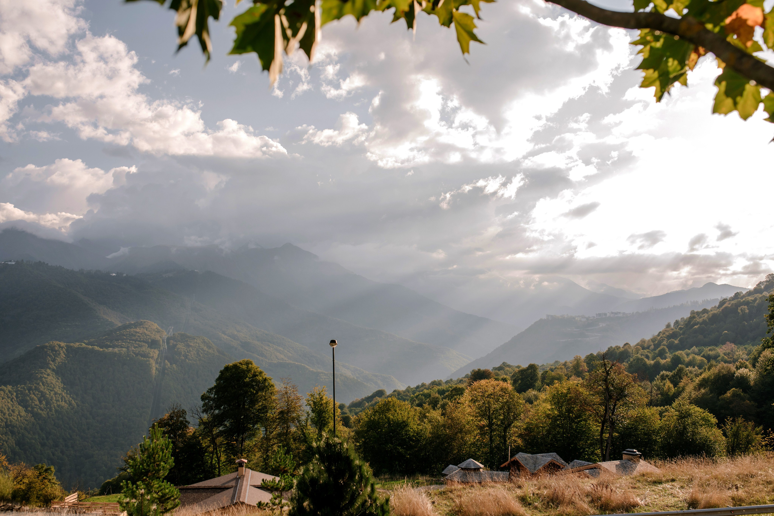 Росстат Сочи. Репортажный фотограф Минина Ирина