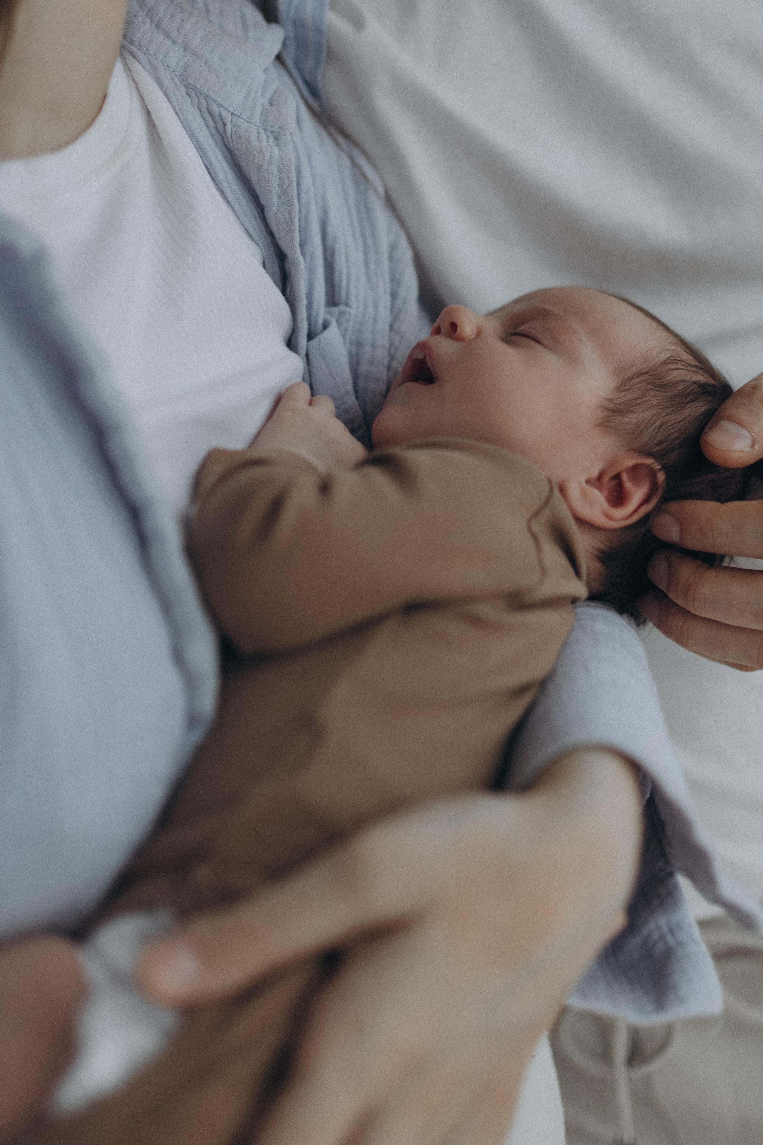 Вероника, Дмитрий и Мелисса. Семейный фотограф Земскова Евгения