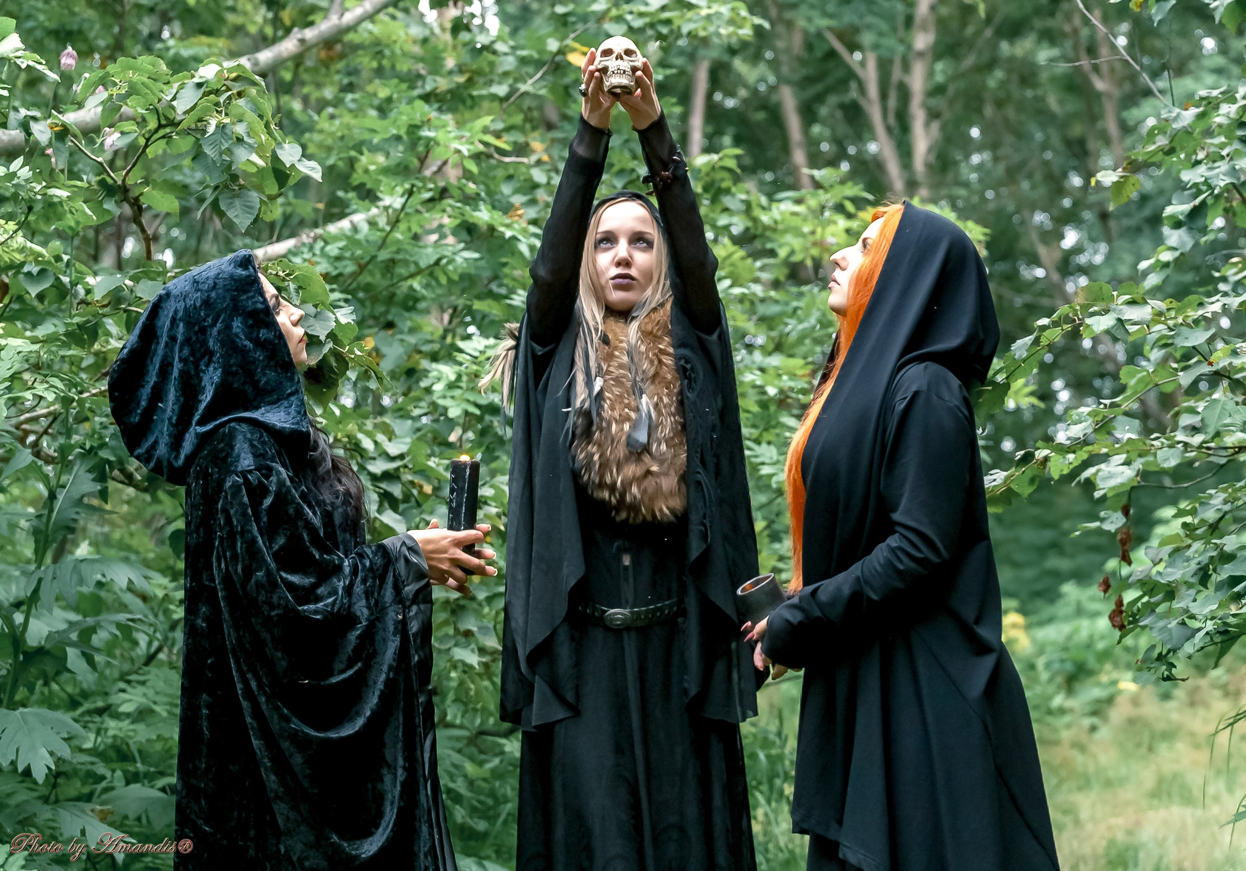 The witches. Репортажная съемка в Москве и области. Анималистика