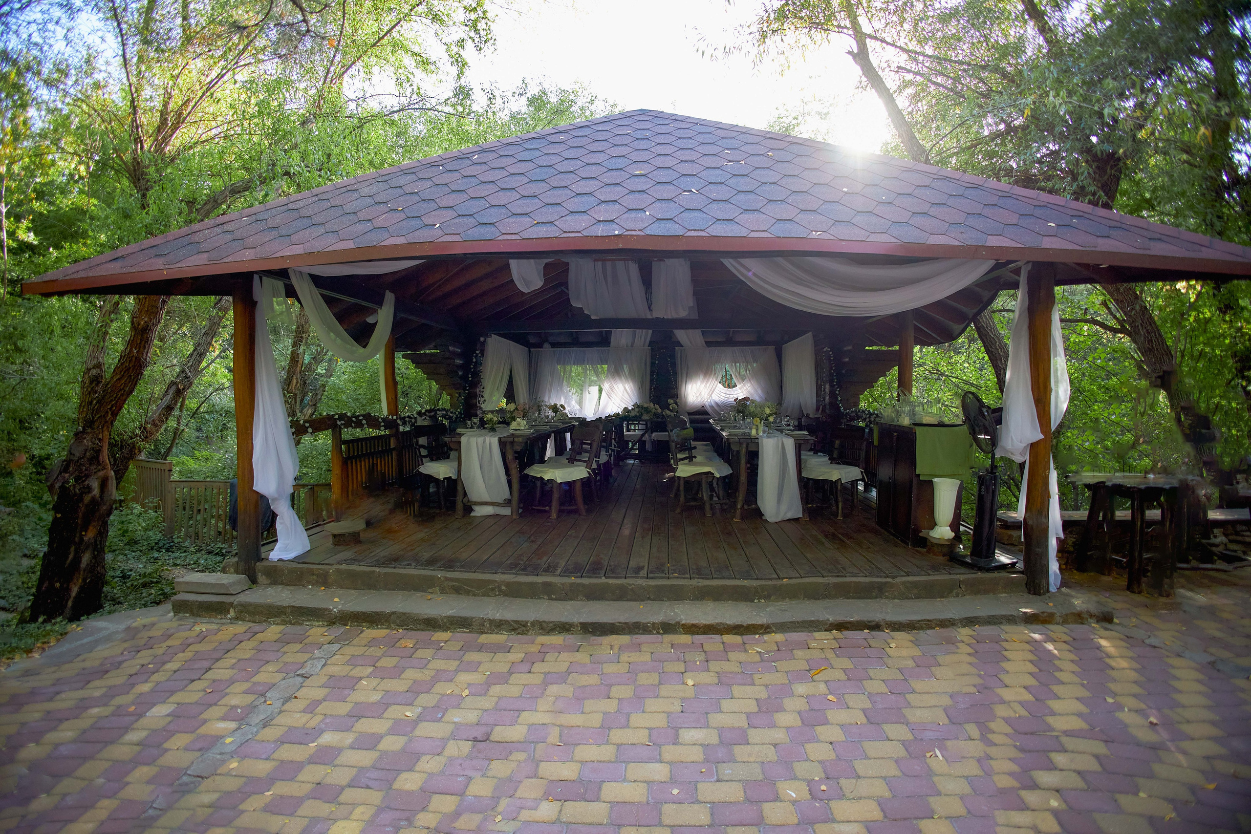 Свадьба в лесу. Фотограф в городе Ростов-на-Дону Лариса Черных