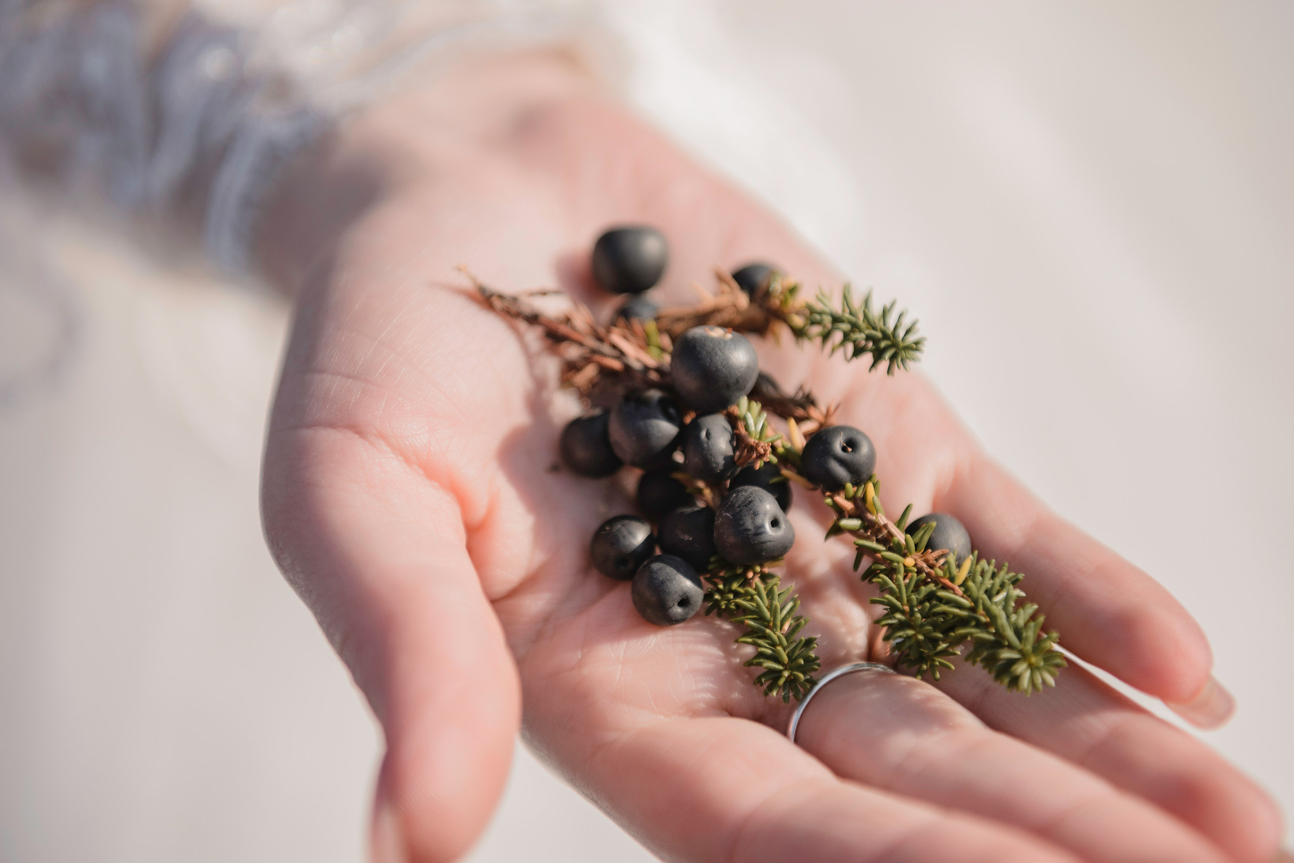 Дарья и Сергей. Фотограф Камчатка Тимофей Тимофеенко