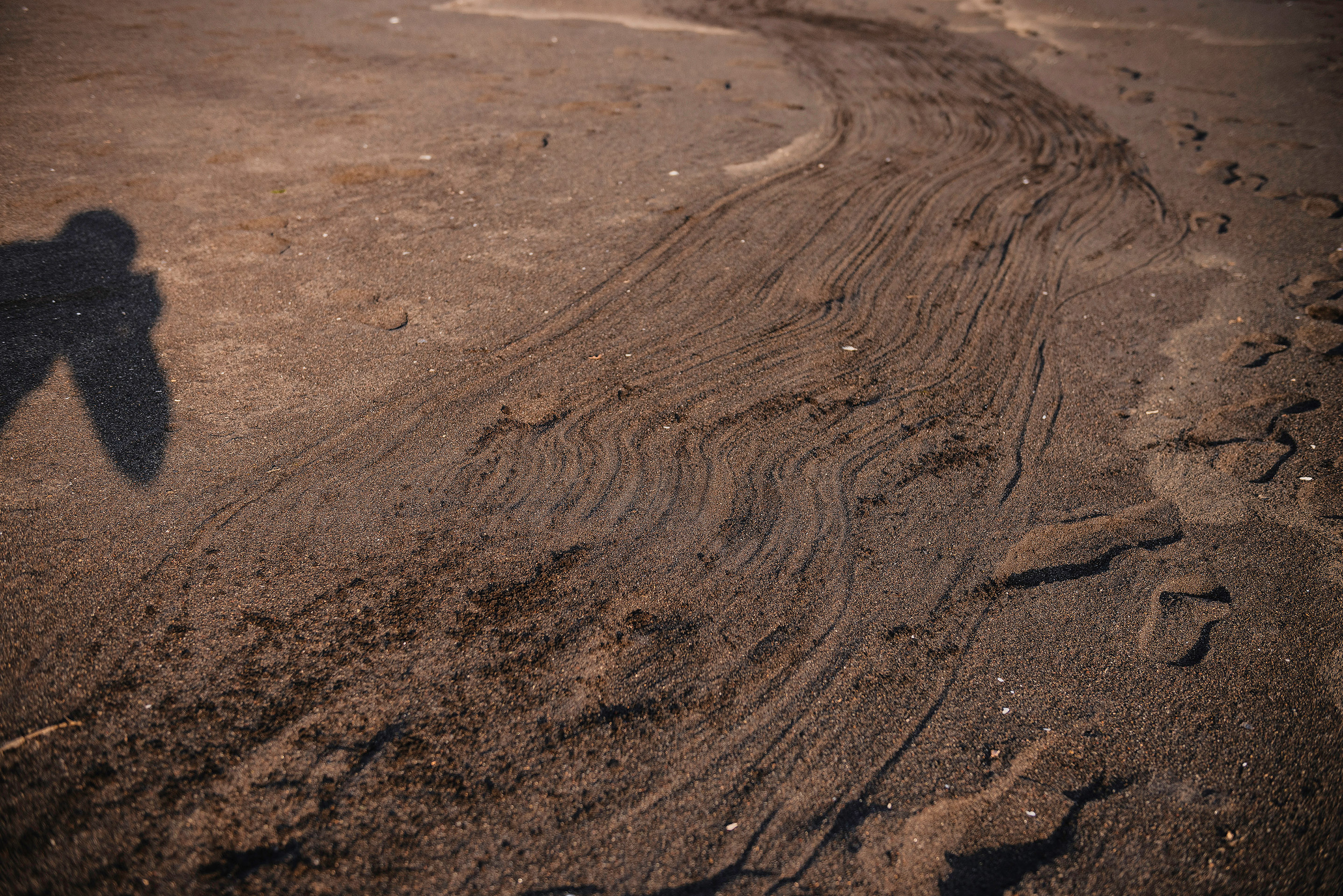 Дарья и Сергей. Фотограф Камчатка Тимофей Тимофеенко