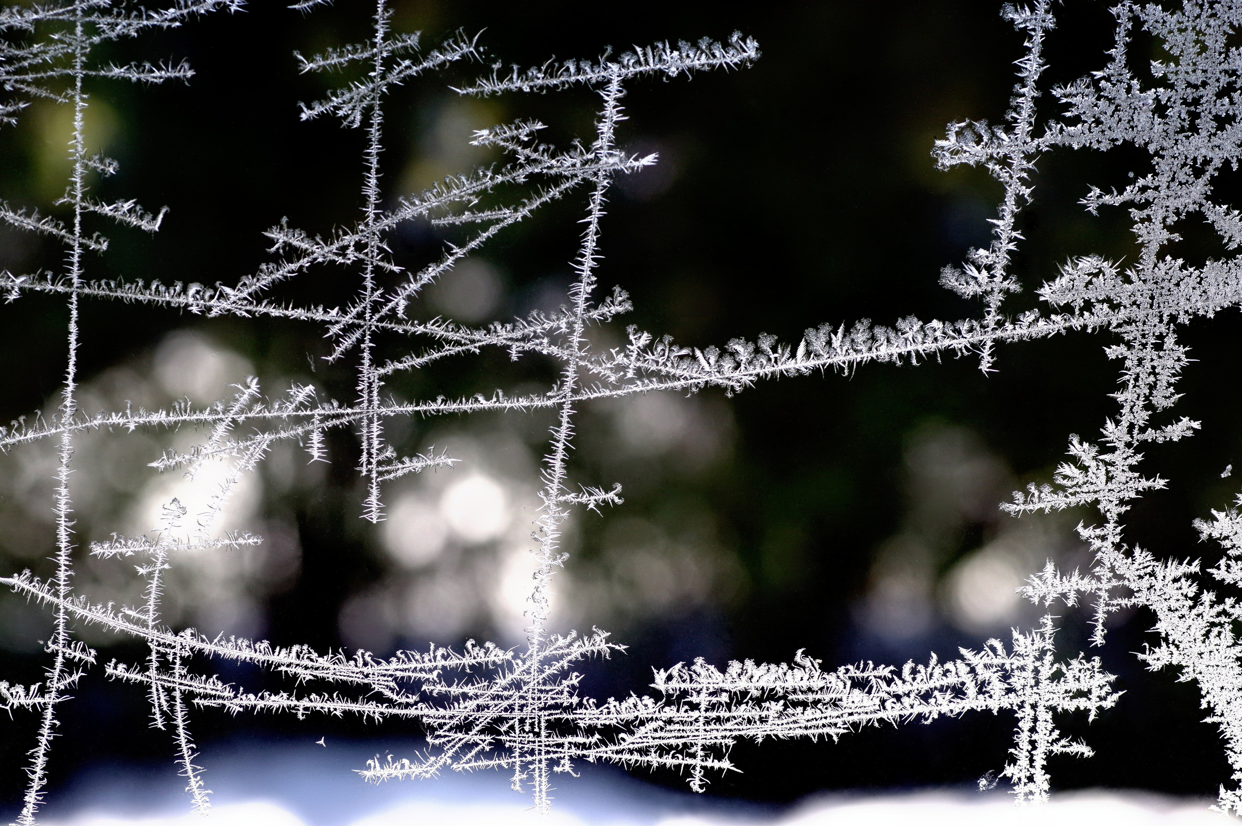 5. Вадим Шейдин
