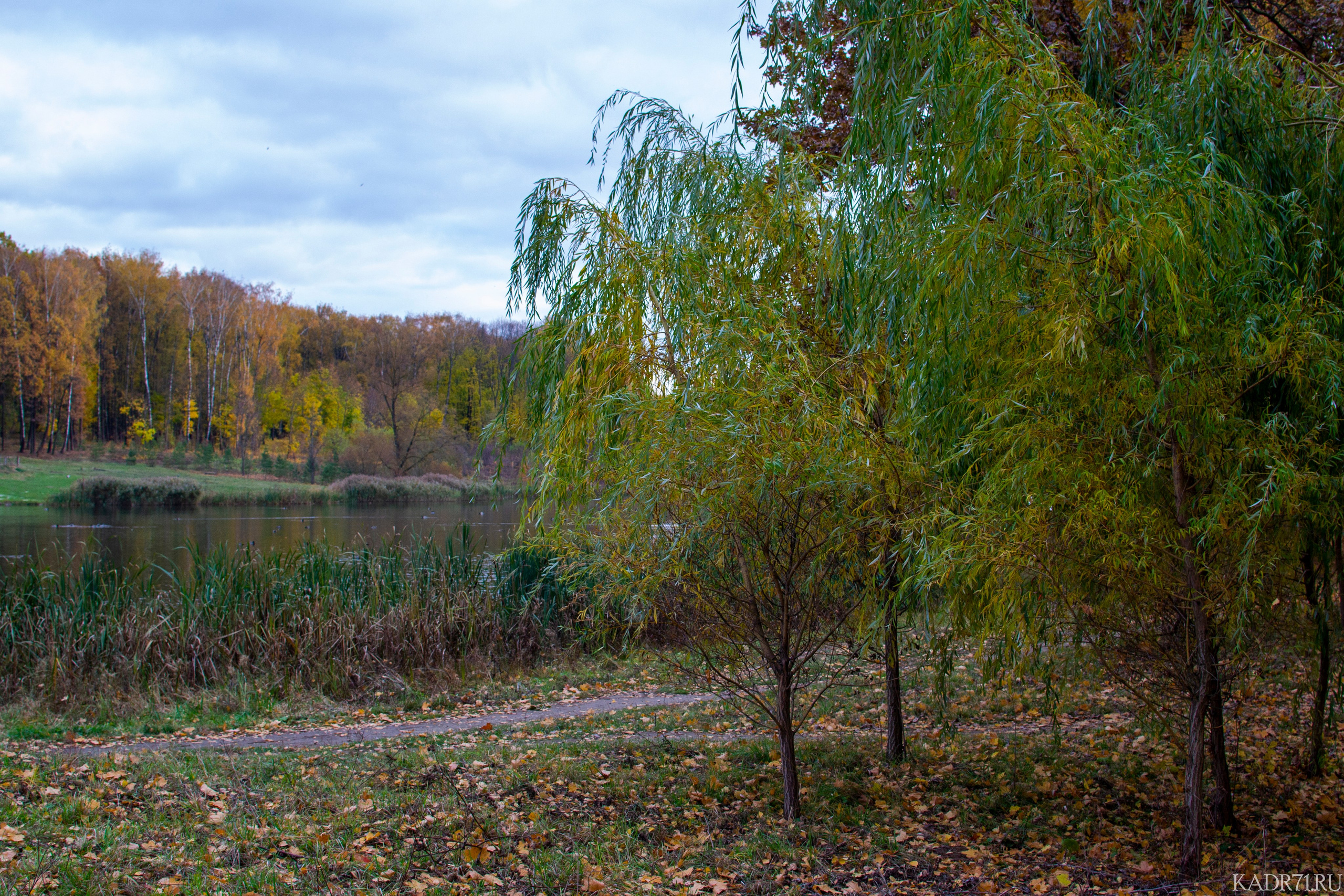 Центральный парк культуры и отдыха им. П. П. Белоусова. Фотограф в Туле Крупский АнДРей. Фотостудия «КАДР71» в Туле