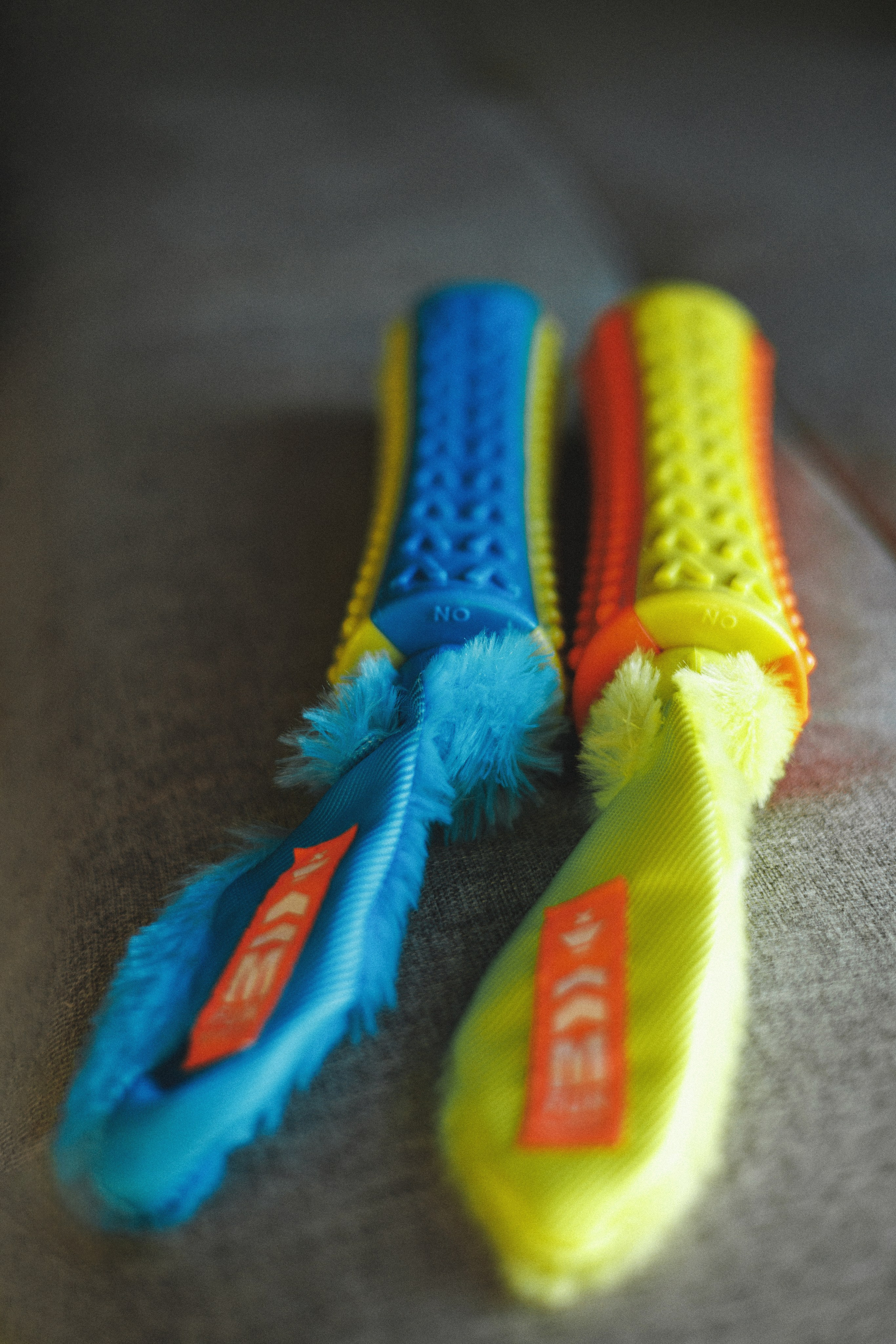 M-Pets. Фотограф анималист Осипчикова Мария