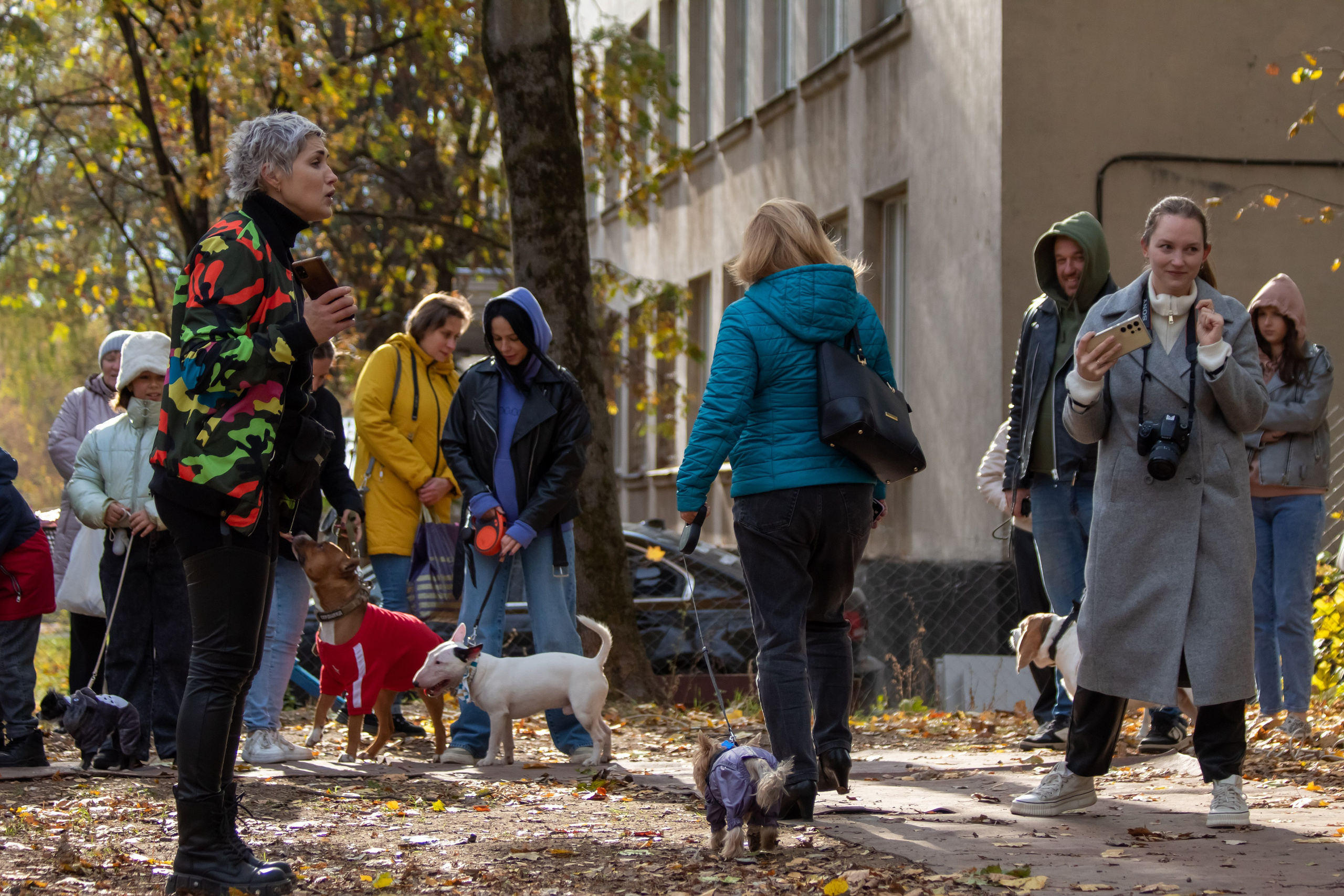 Костюмированный парад собак. Фотограф анималист — Тула, Москва
