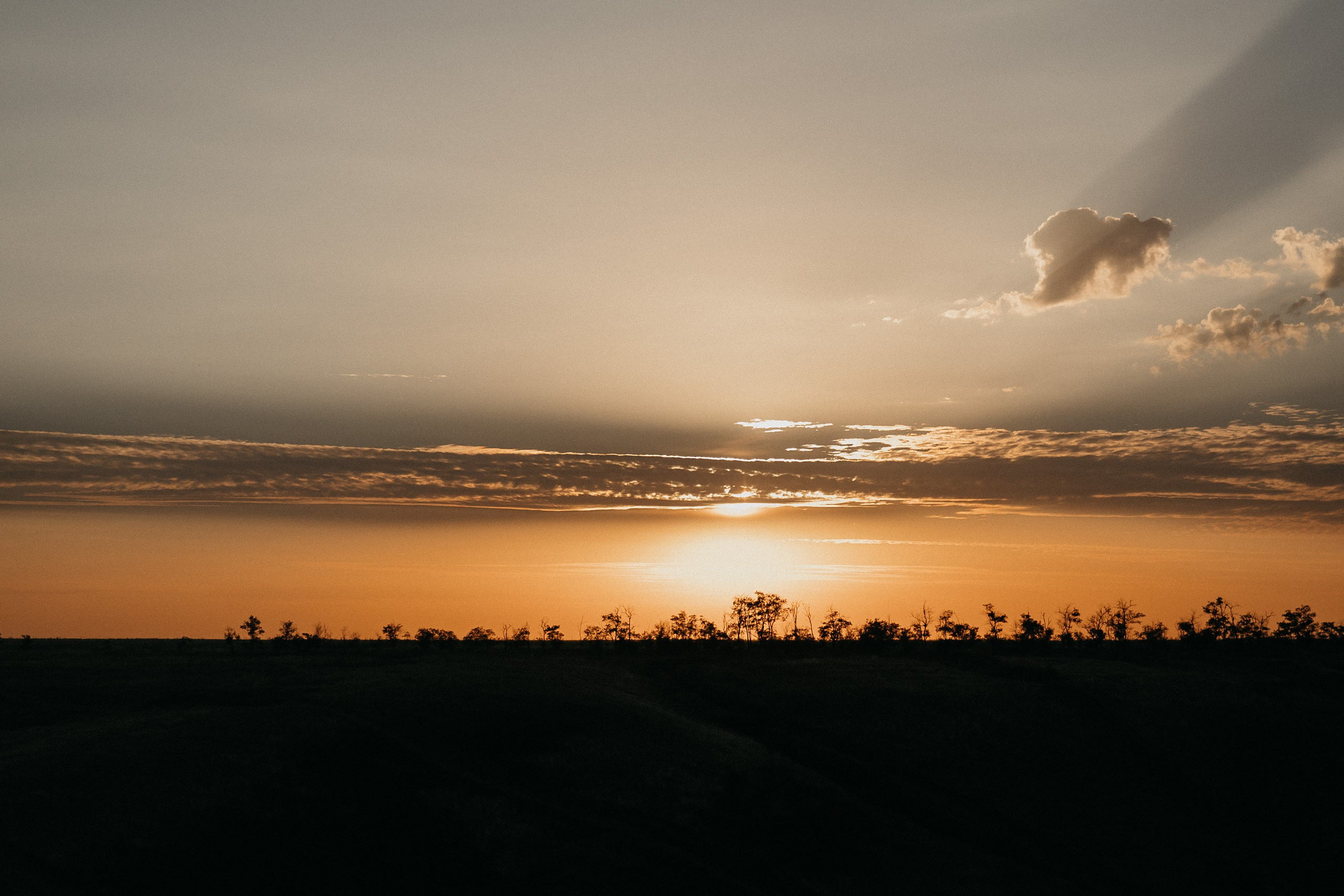 Антон+Настя+Ульяна. Свадебный и семейный фотограф в Волгограде Галина Микитинская