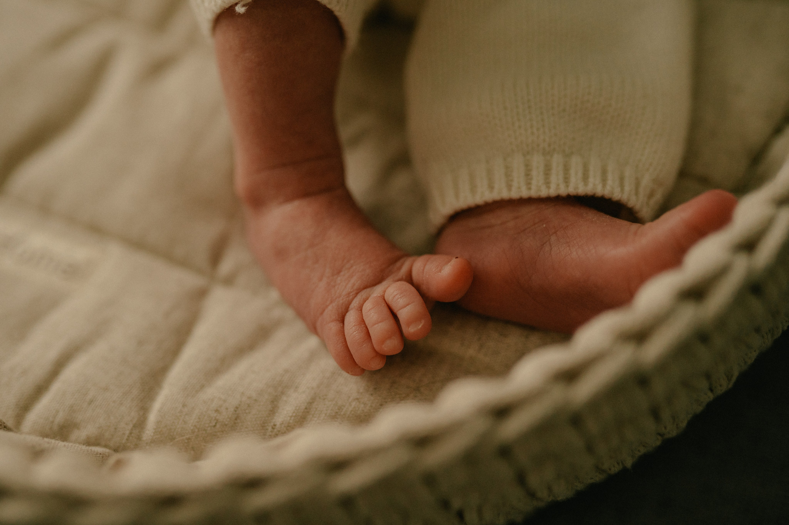 Лена, Игорь, Арина, Агата. Семейный фотограф Москва