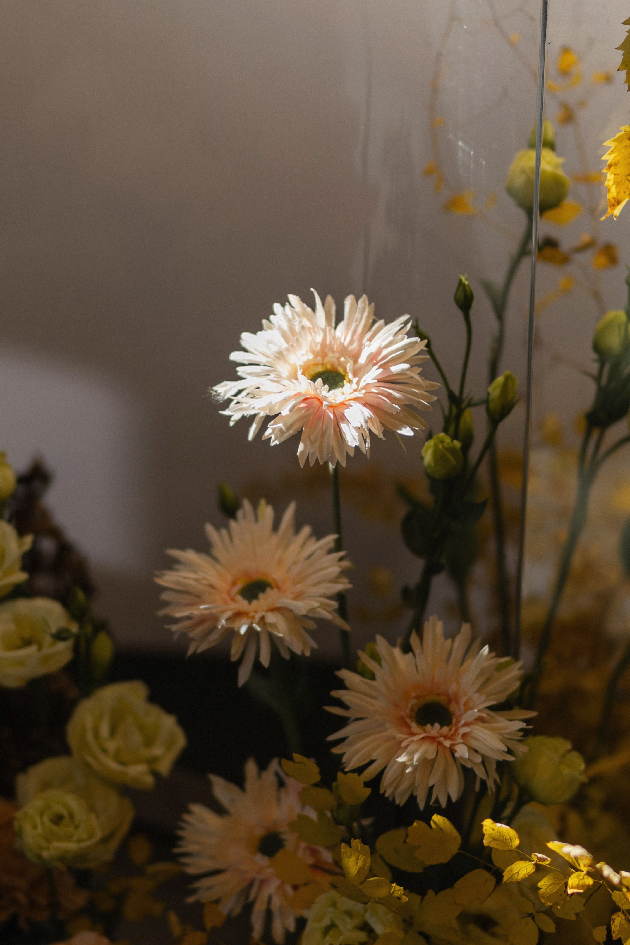 «В ОБЪЯТИЯХ ОСЕНИ». Maria Startseva Photo