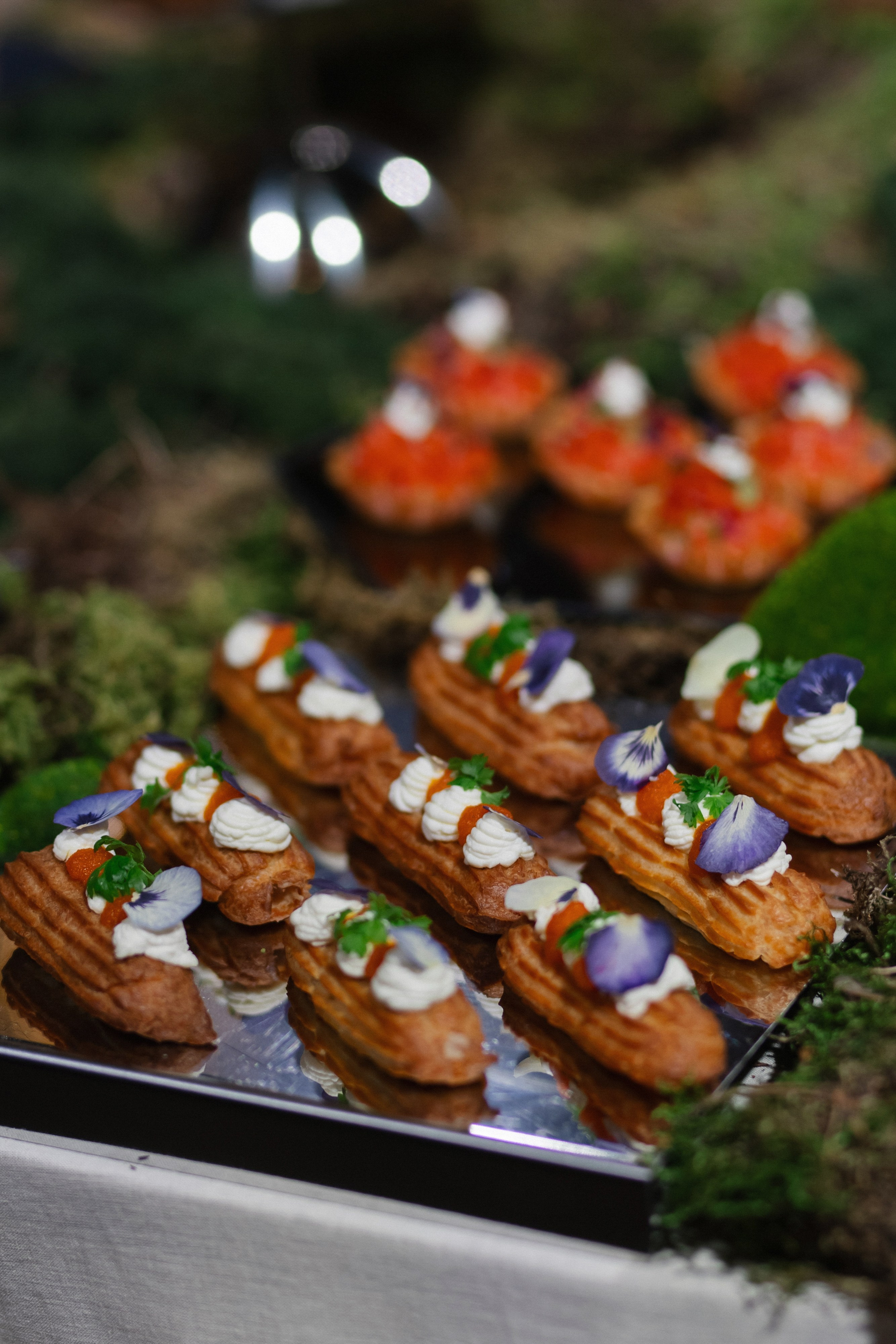 МЕРОПРИЯТИЯ. Maria Startseva Photo