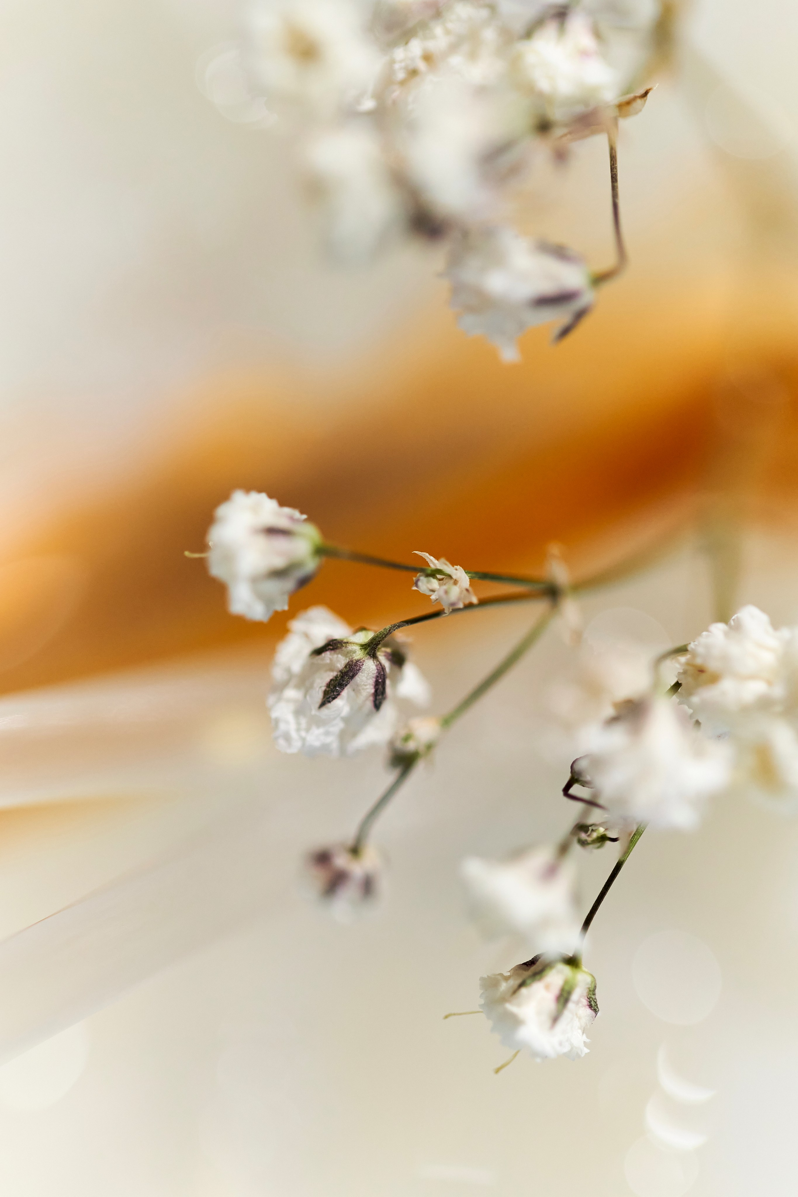 Ресторан «Murmansk». Контент фотограф в Москве Александр Хитько