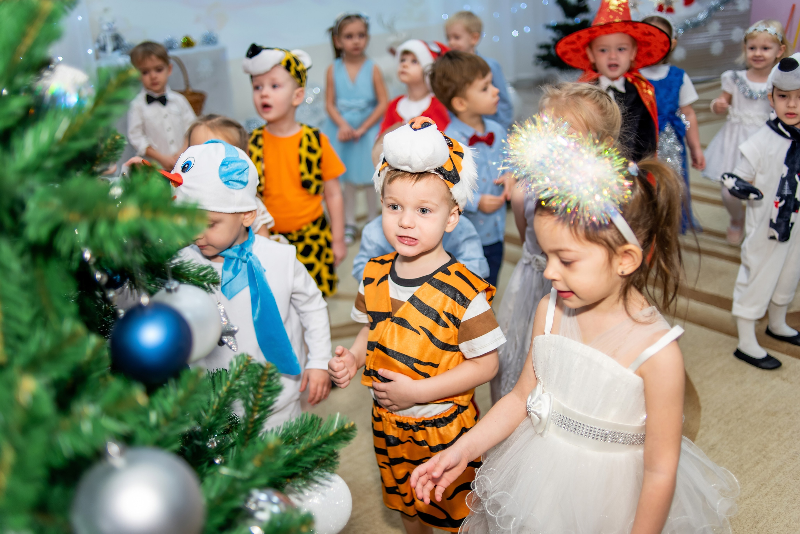 Зима. Фотограф Юлия Попова