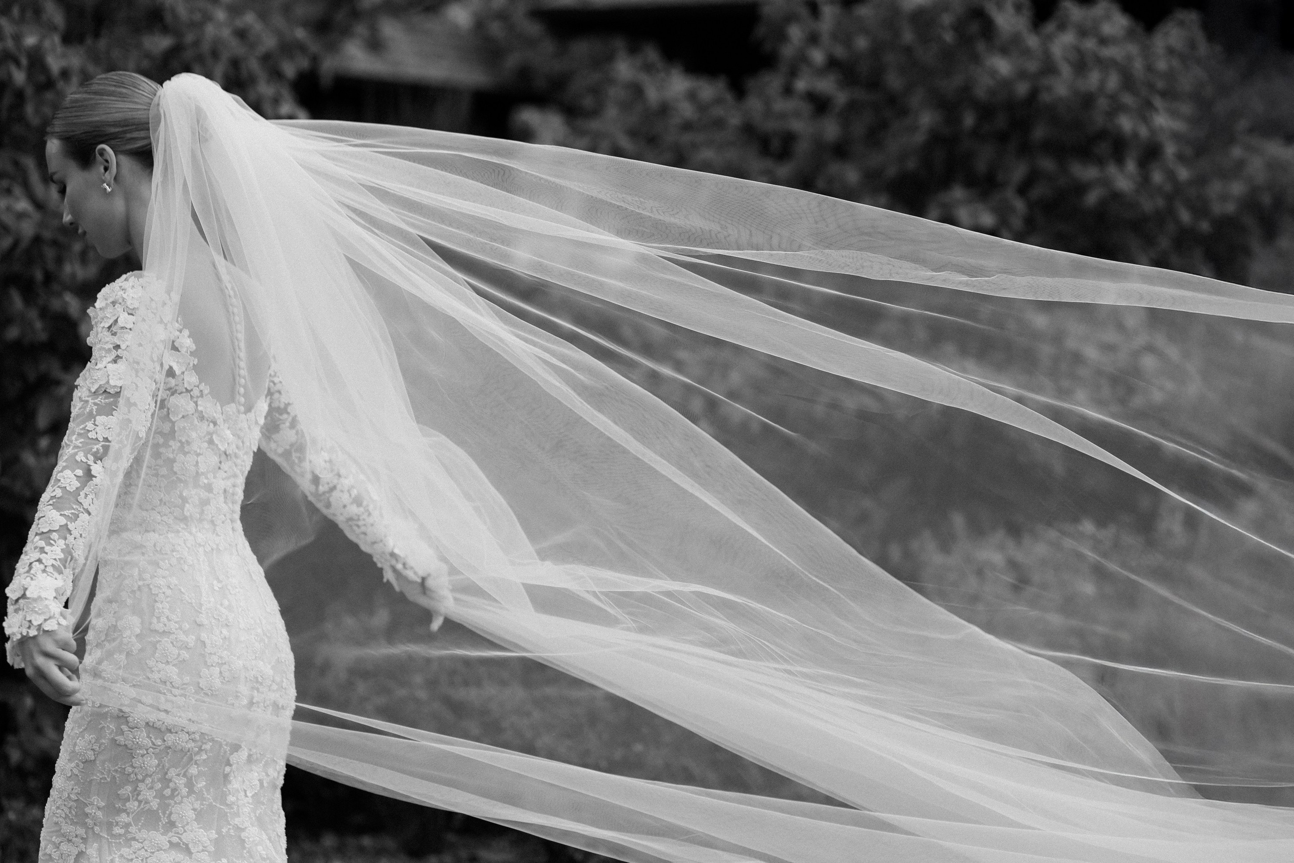 Олег и Юлия 2.11.24. Свадебный фотограф в Ростове-на-Дону