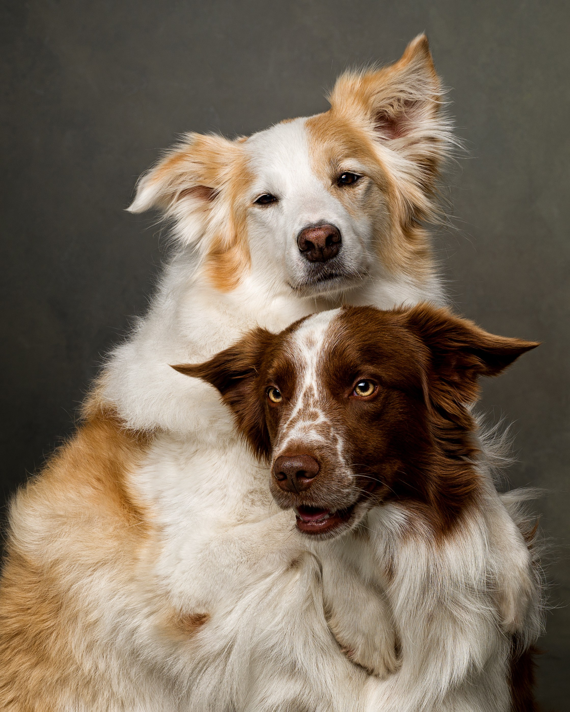 Студийные съемки. Портретный фотограф в Челябинске Катерина Руди