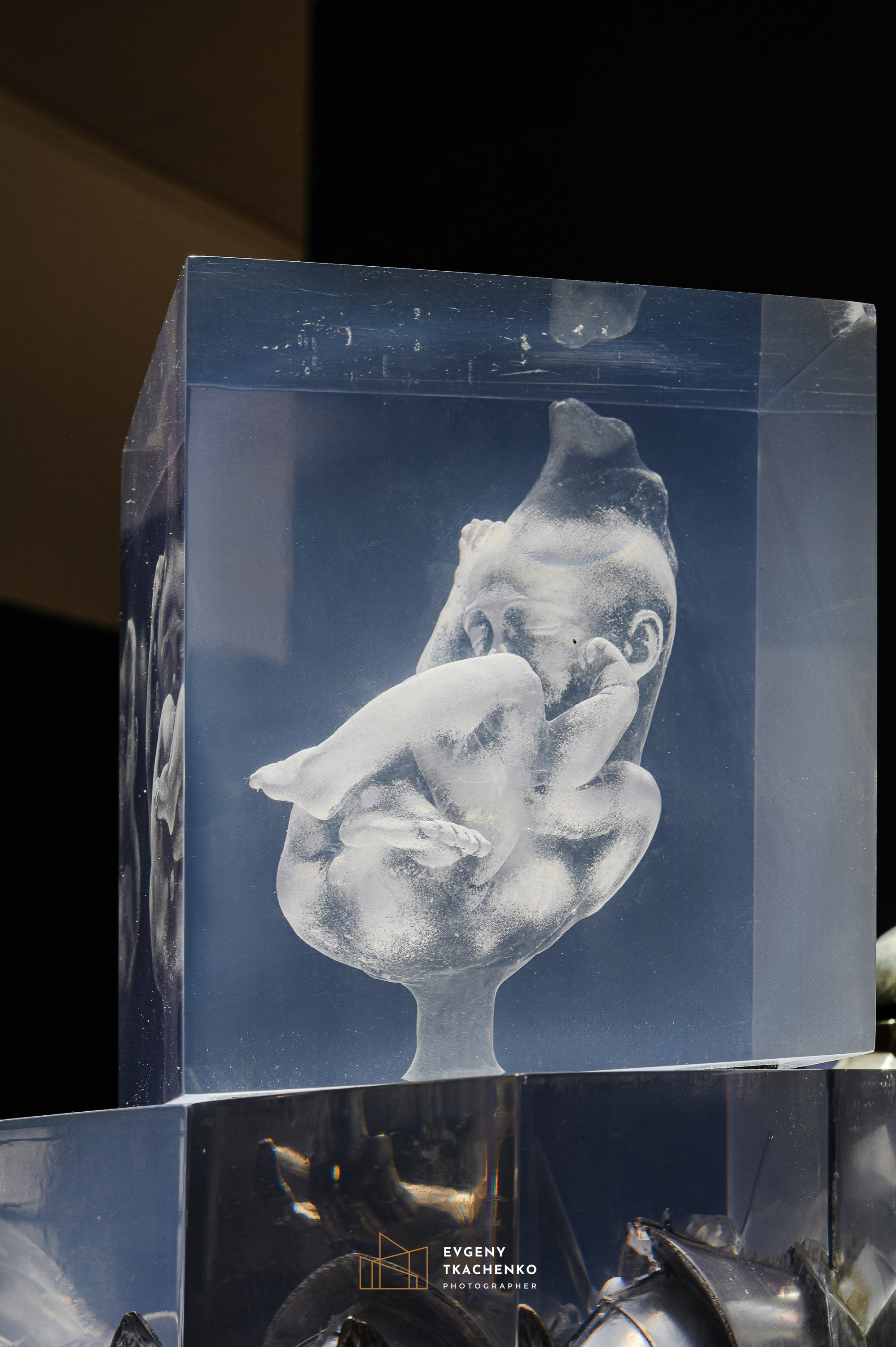 Экспозиция Юнуса Сафардиара в Национальном Музее в г. Астана. Архитектурный и интерьерный фотограф в Казахстане