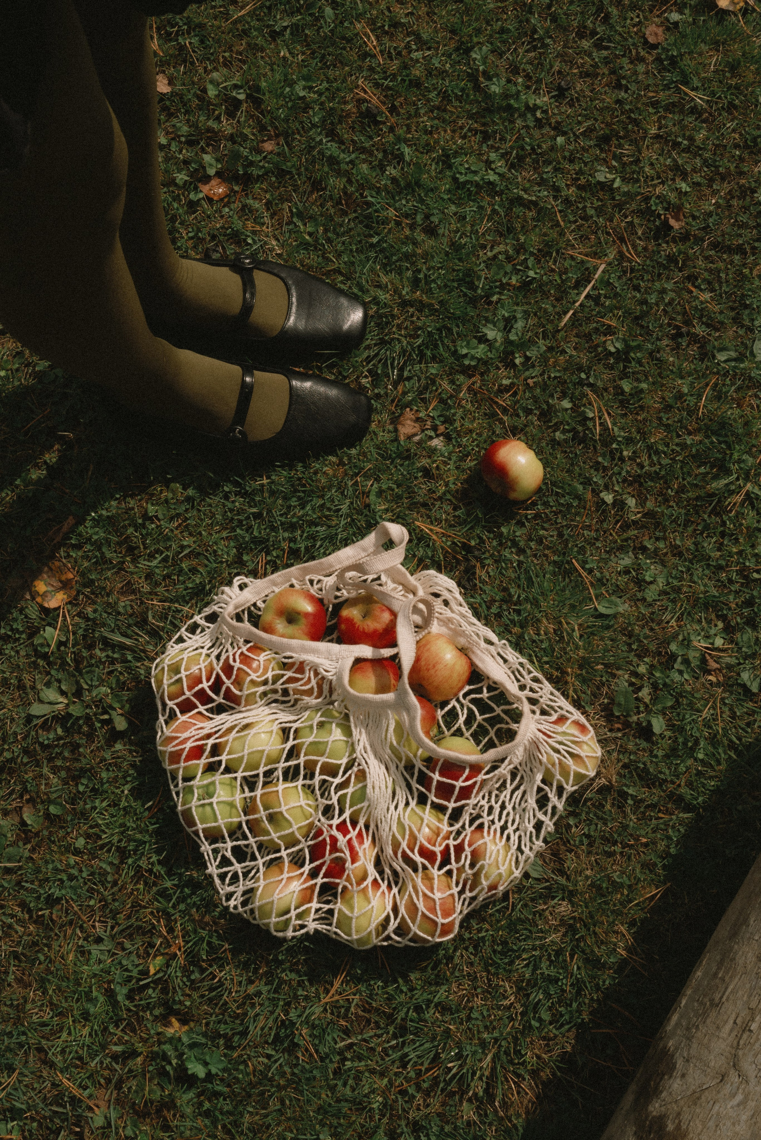 I am Diana, a portrait photographer. I take pictures around the world