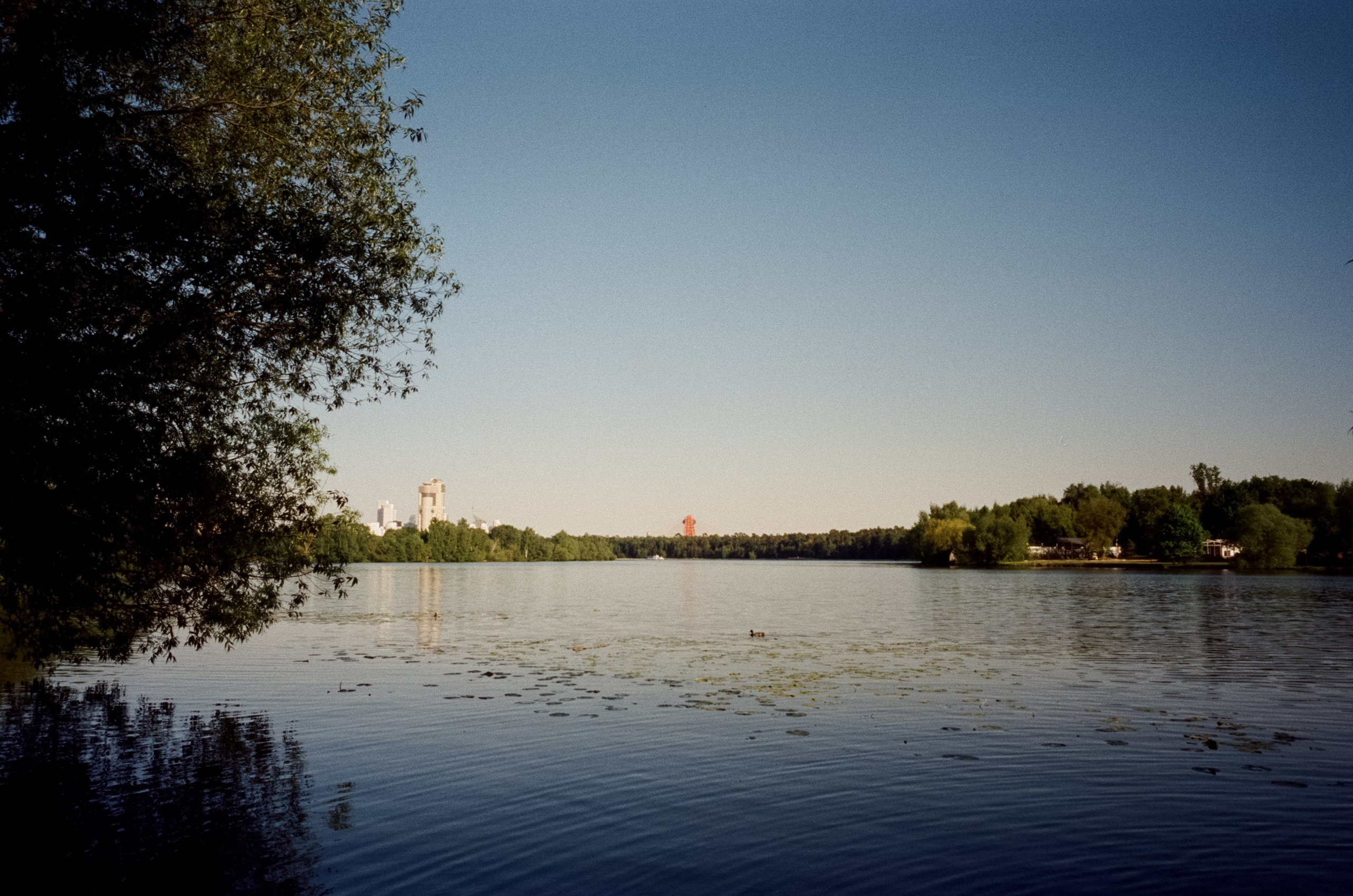 Ricoh GR10 / SFL 250D / Тестовая пленка у речки в Строгино