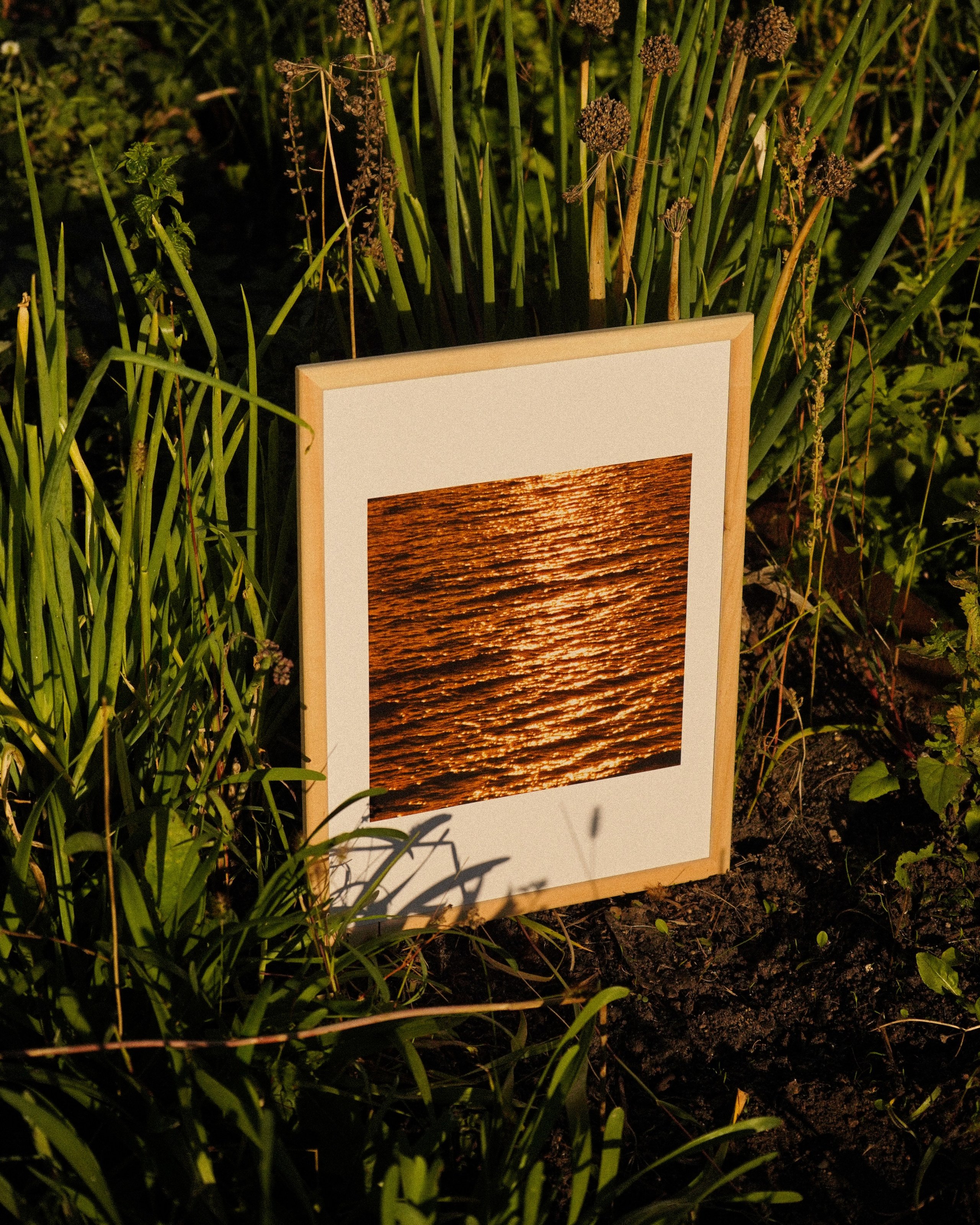 WAVES. Фотограф Нижний Новгород