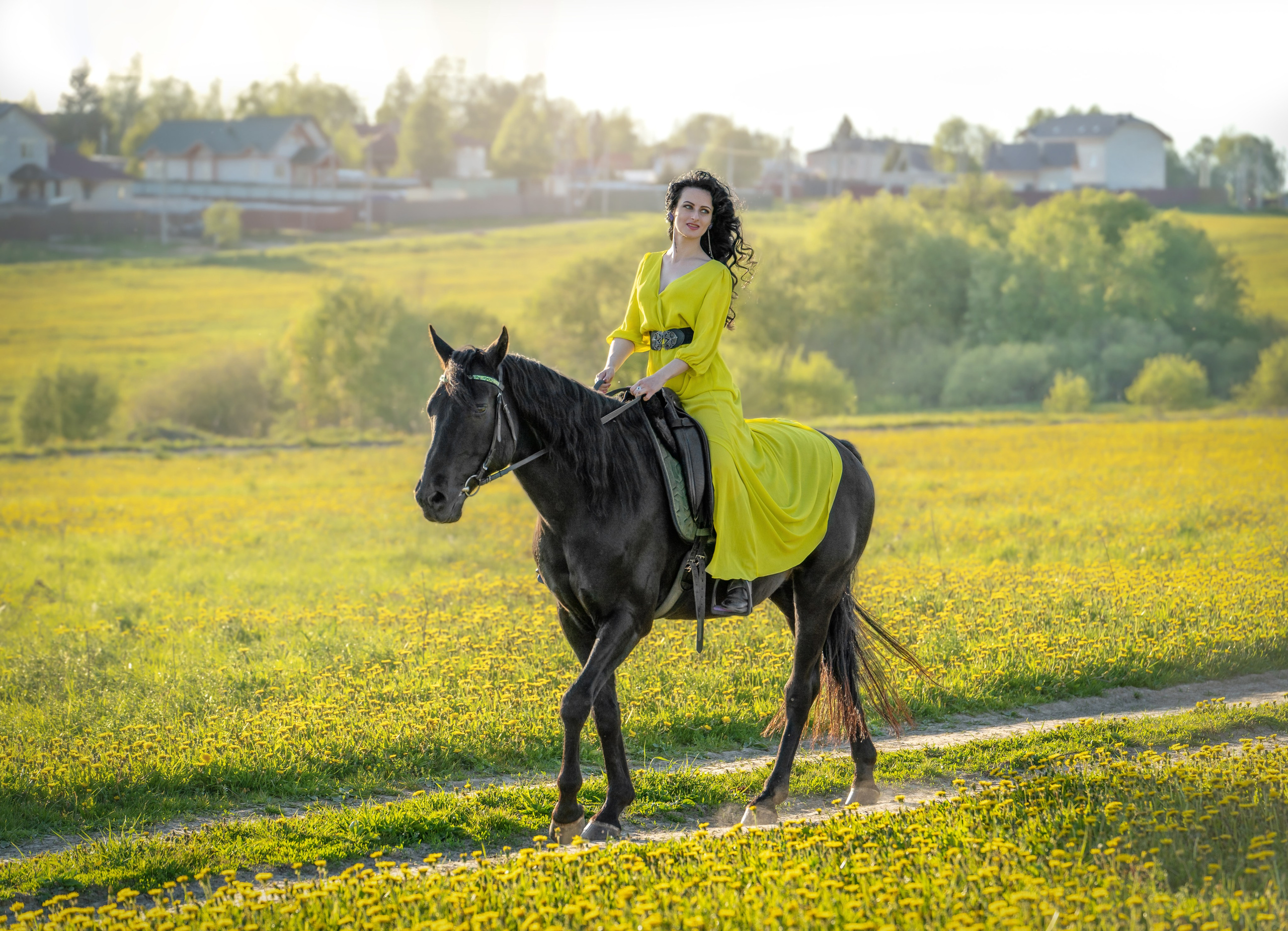 Одуванчиковое поле. Фотограф Дарья Соколовская