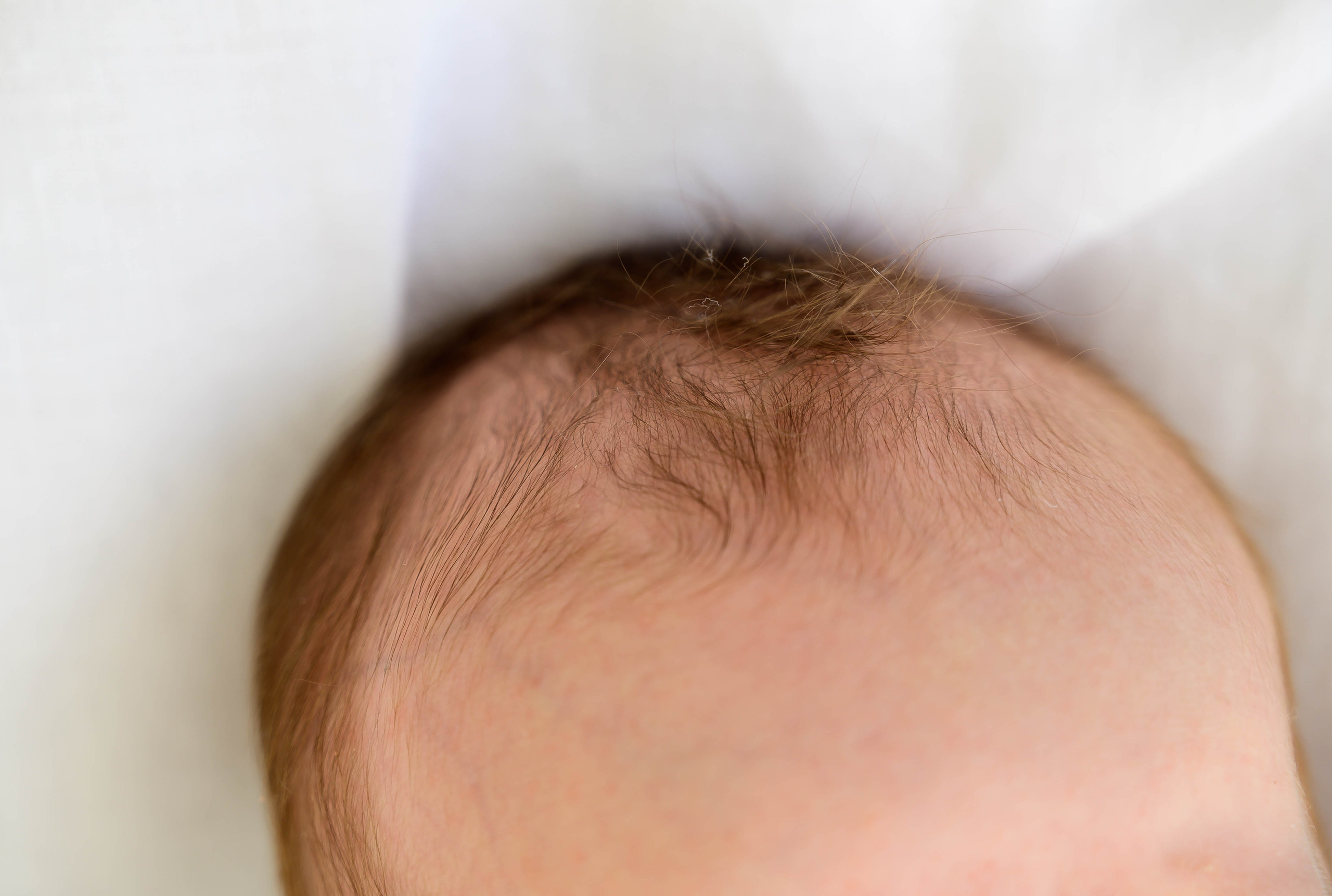 Лера. Фотограф беременности и семьи, домашние съемки