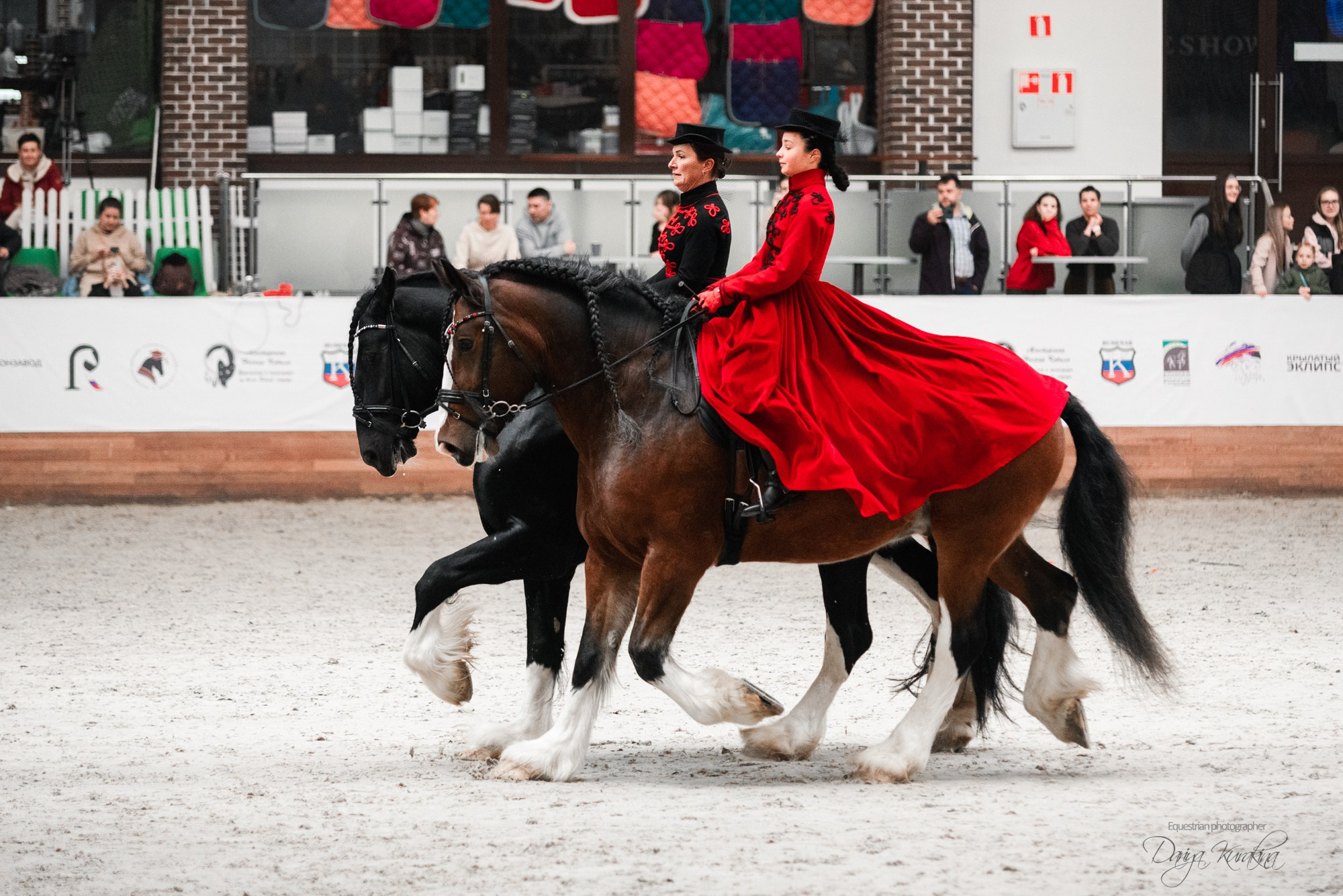 8-я международная выставка Конная Россия. Конный фотограф Куракина Дарья • Фотосессии с лошадьми