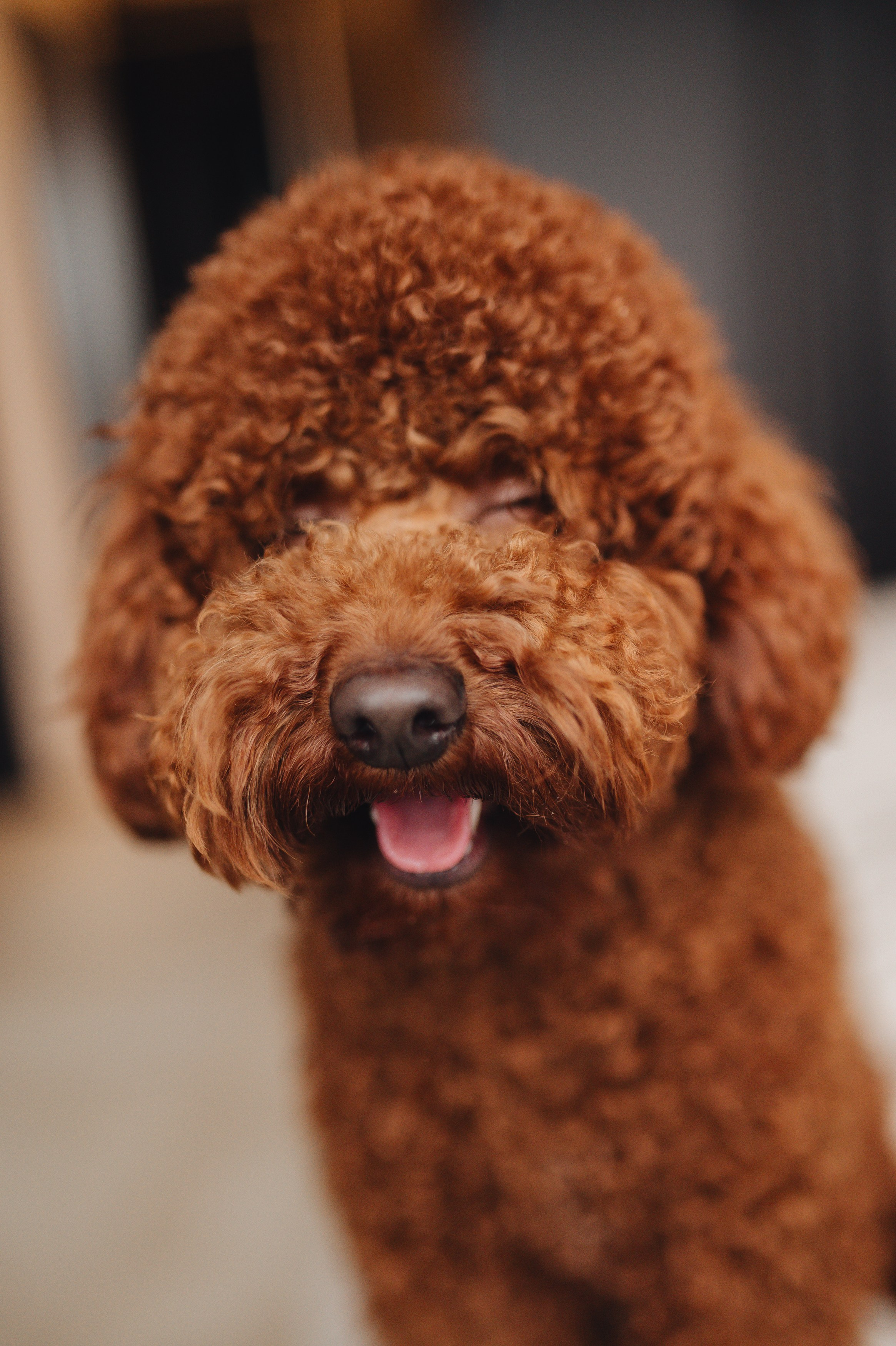 Рената и Луи. Фотограф Прага | Photographer Prague| Фотограф в Праге Яра Куркус