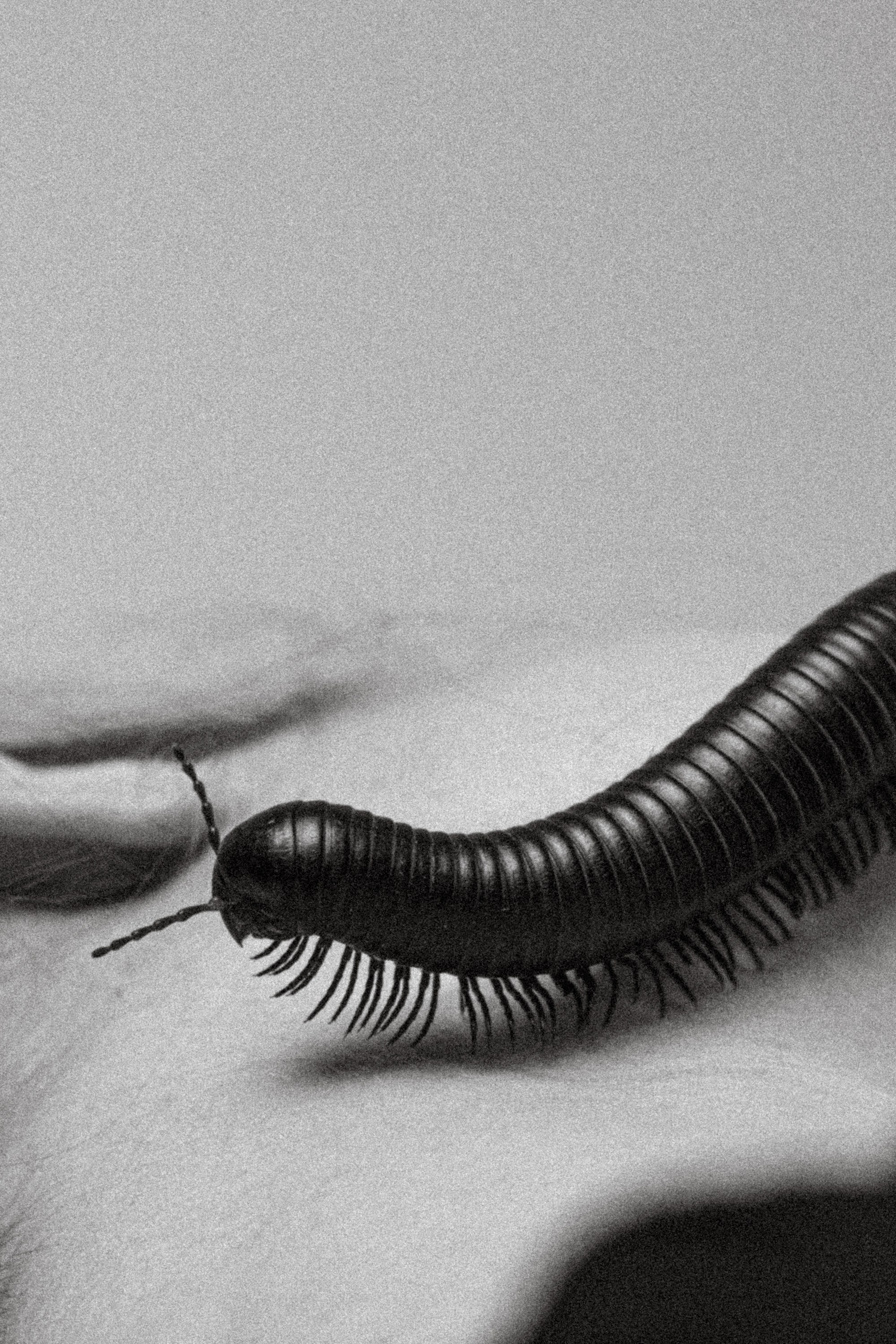 Эксозитическая фотосессия. Дима Меткин. Фотограф и режиссер (Москва)