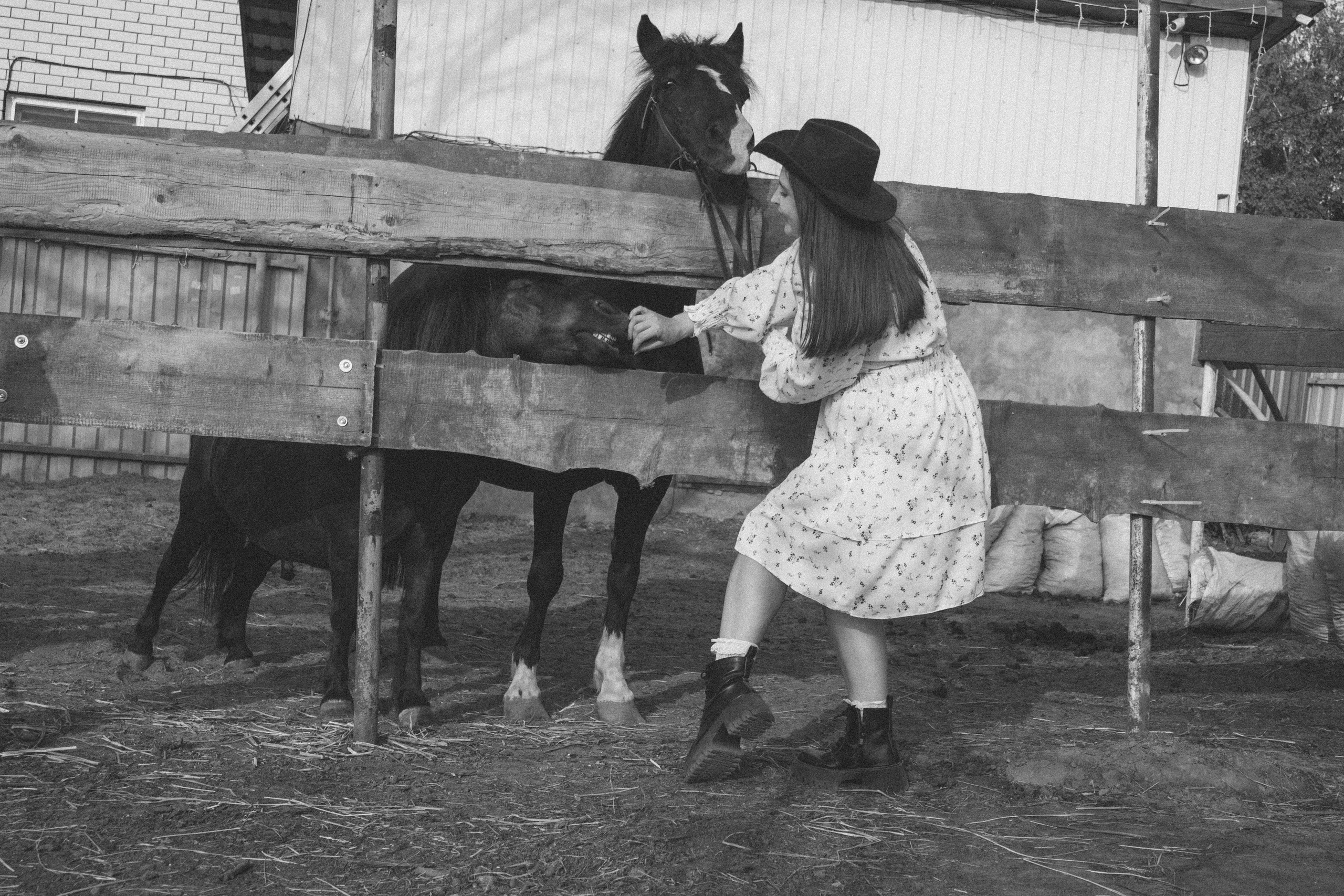 На конюшне. Фотограф Ксения Соколова — портретная, свадебная и семейная съемки в Барнауле