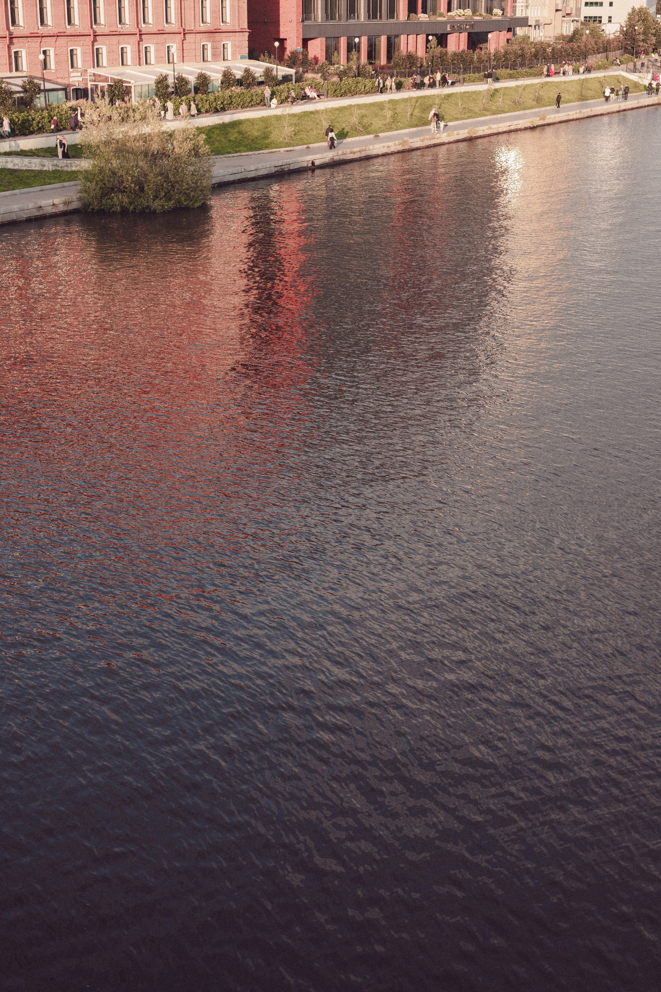 Ксения и Иван. Фотограф Анастасия Петрова