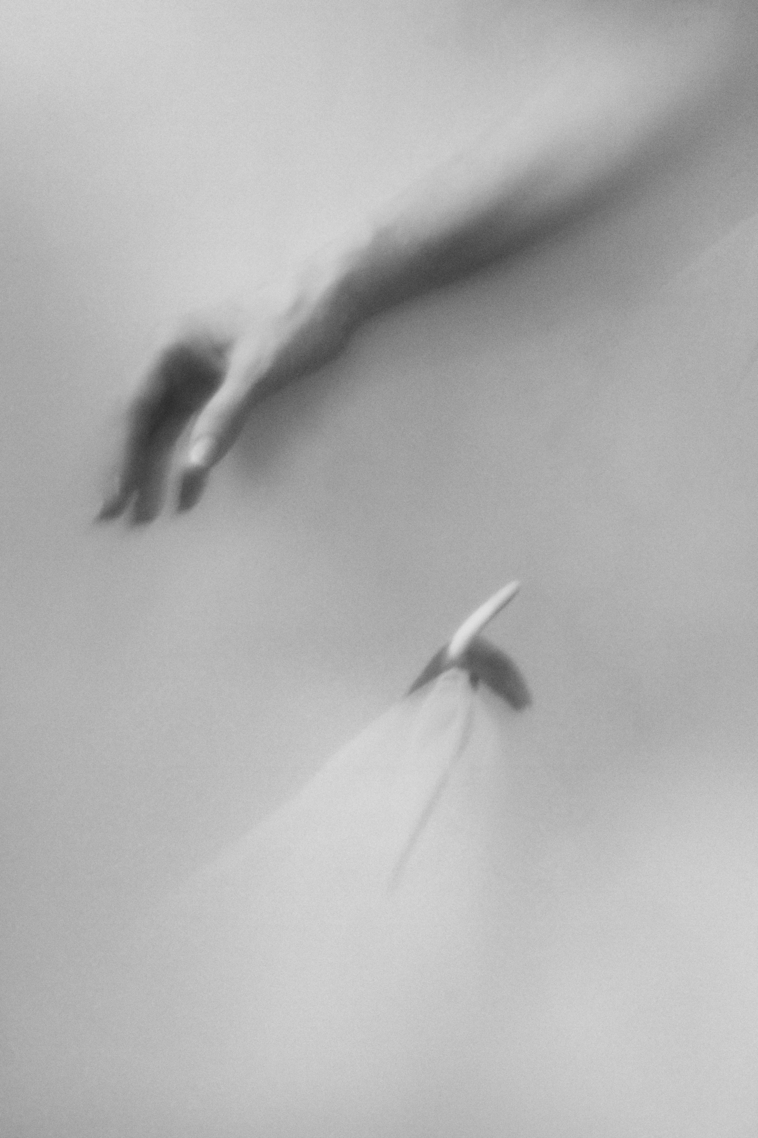 Черно-белое. Женский фотограф Владивосток