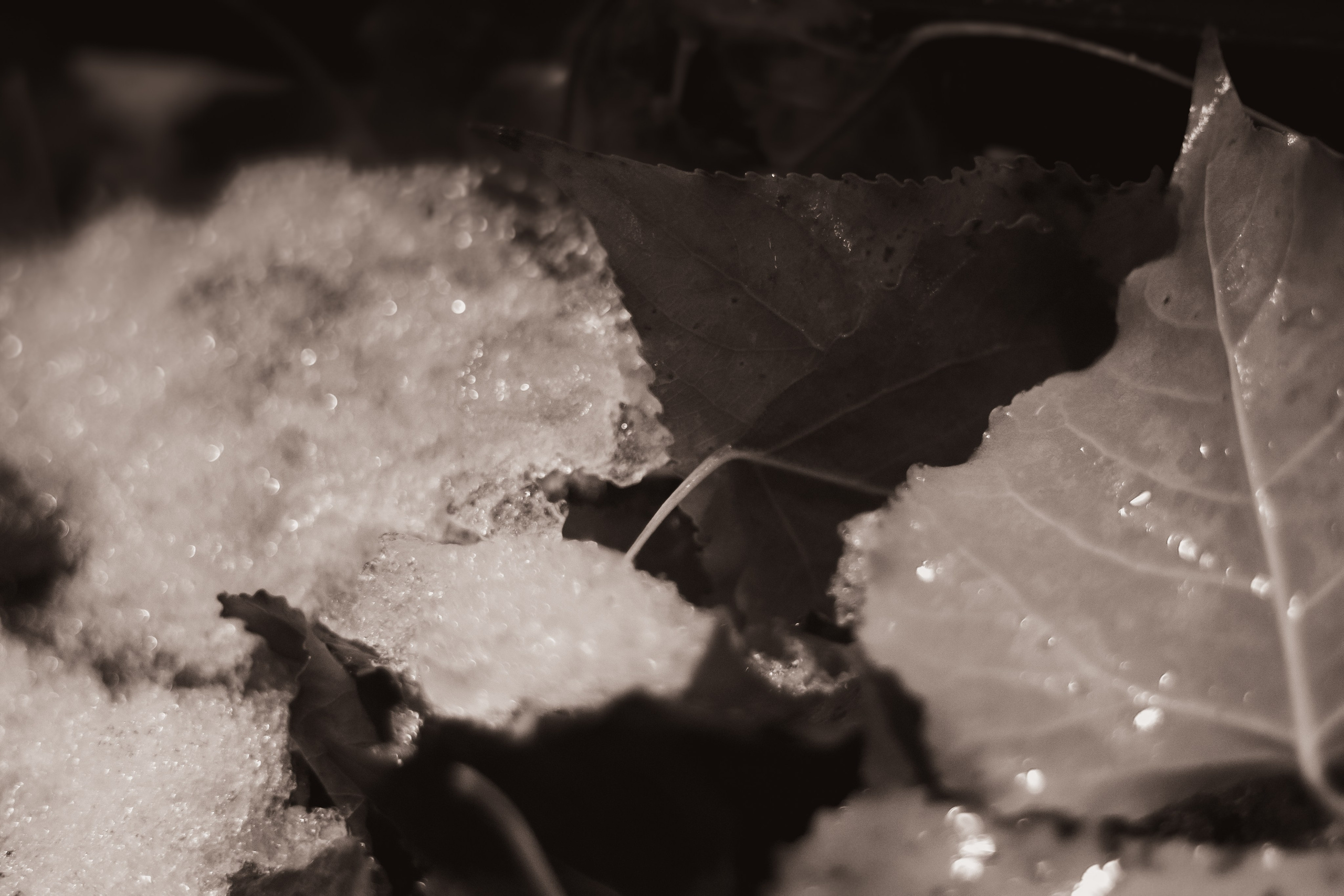 Осень-зима. Фотограф Москва, портрет, стрит, репортаж. Художественная фотосессия