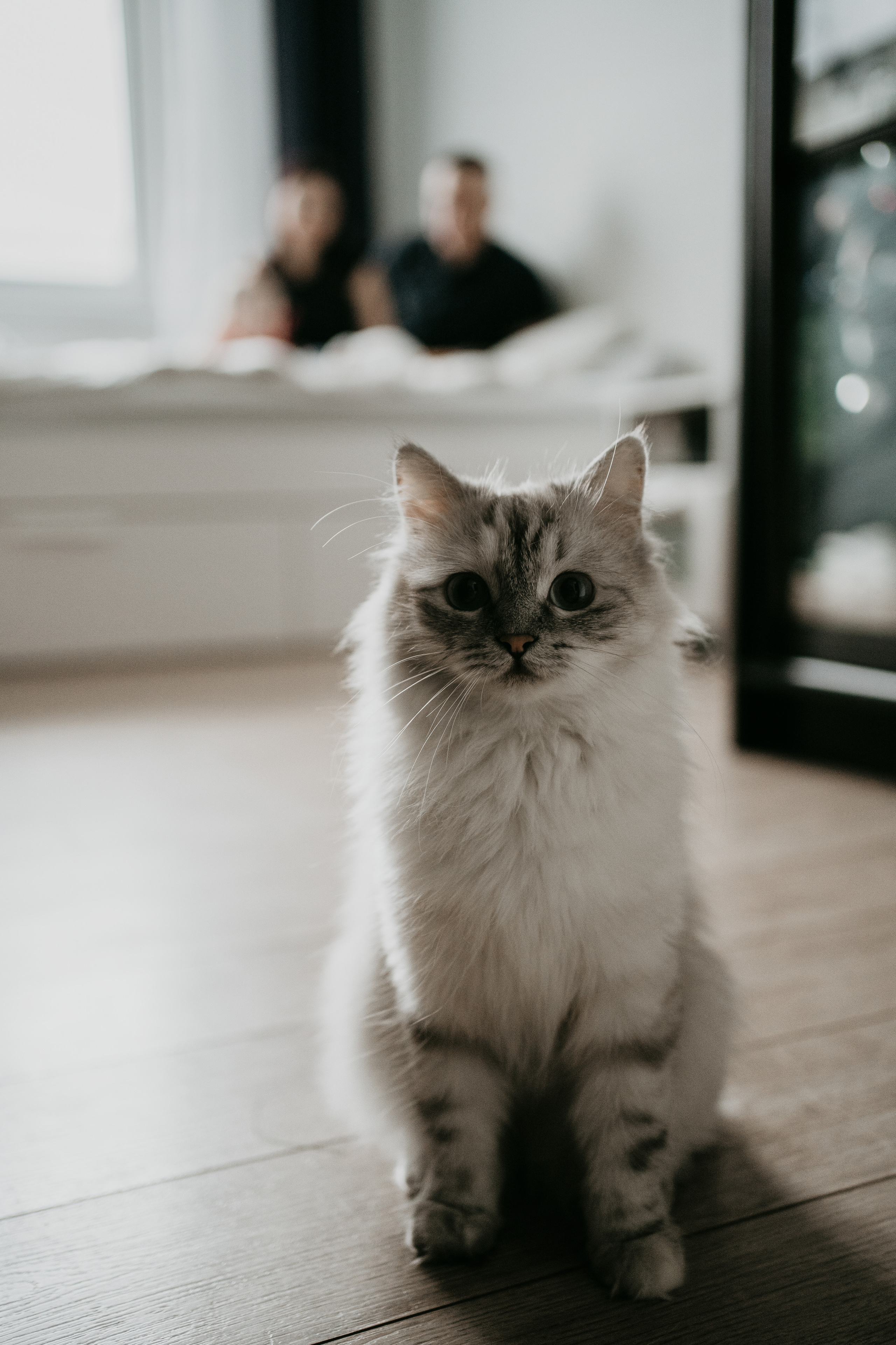 Вика, Влад и Есения. Семейный lifestyle фотограф в Ростове-на-Дону