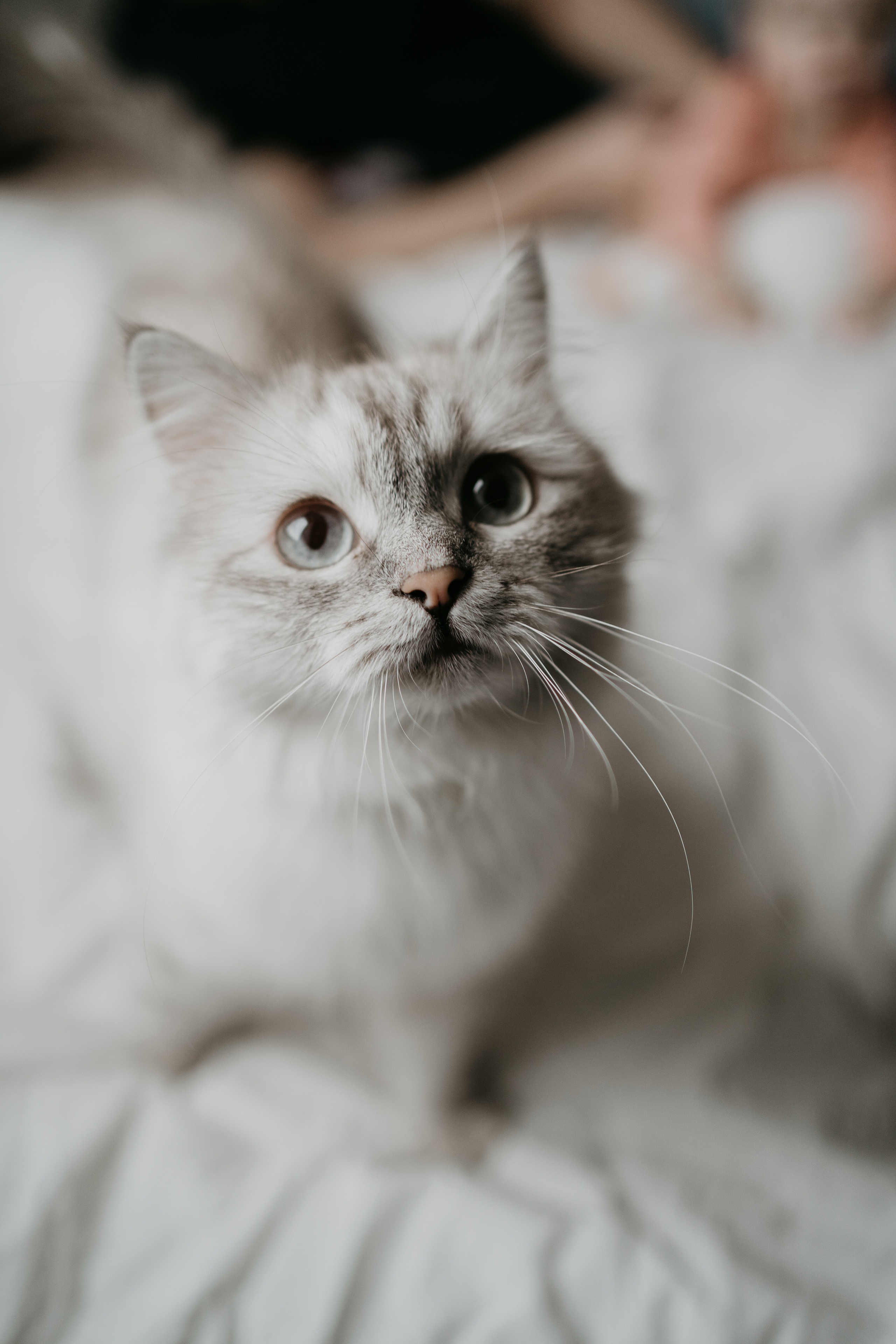 Вика, Влад и Есения. Семейный lifestyle фотограф в Ростове-на-Дону