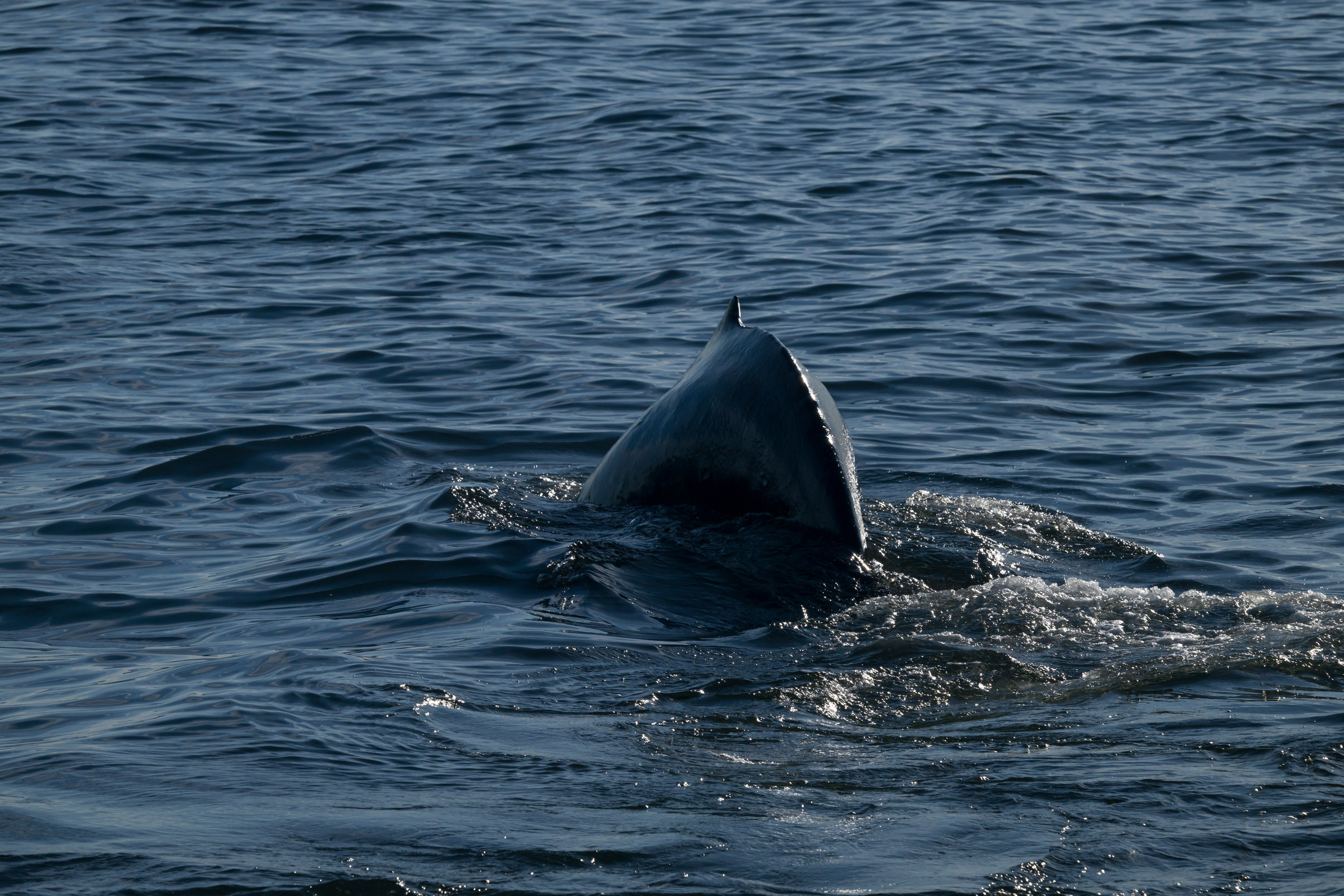 Камчатка. Портретный фотограф в Челябинске Катерина Руди